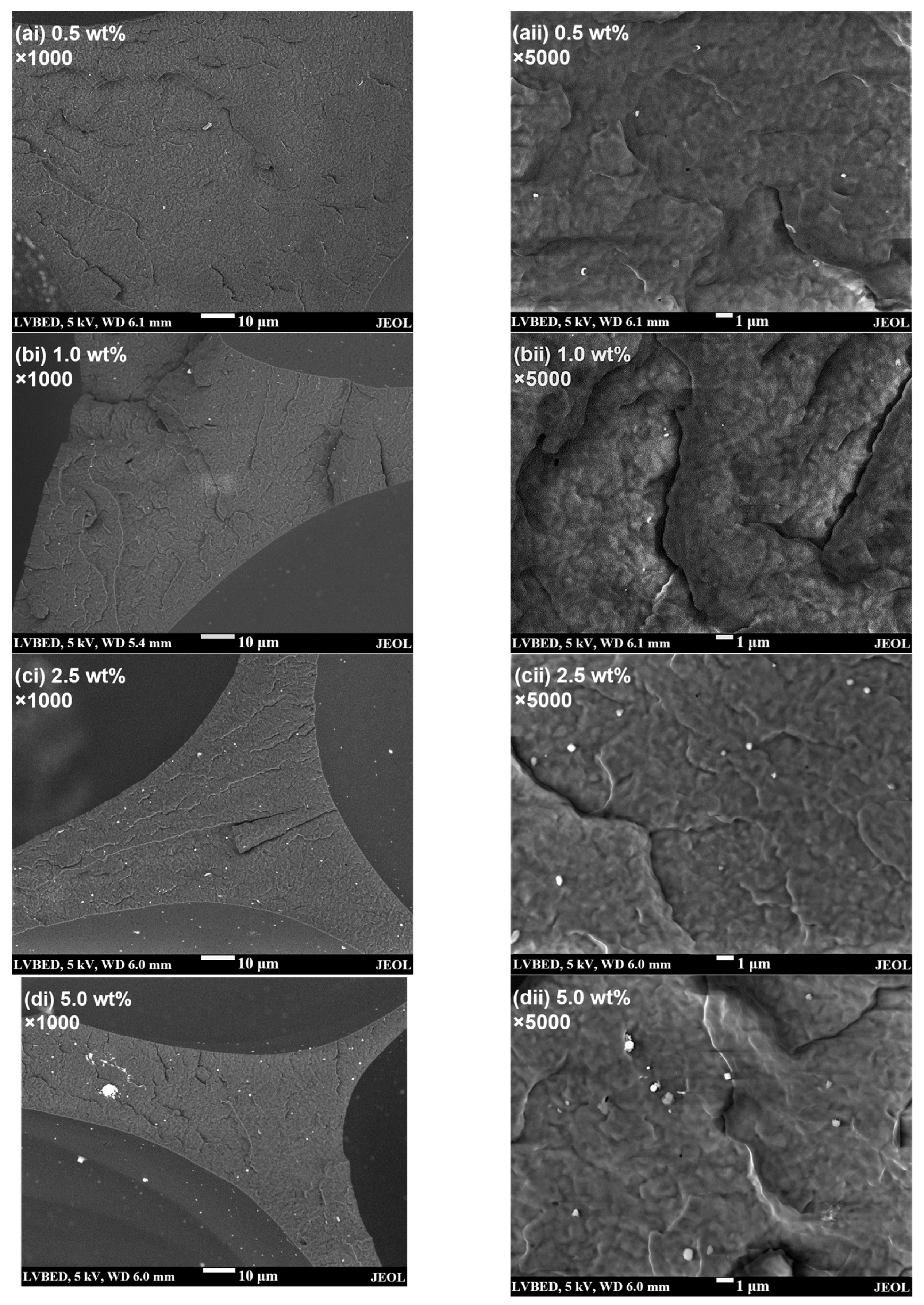 Polymers 15 01813 g002