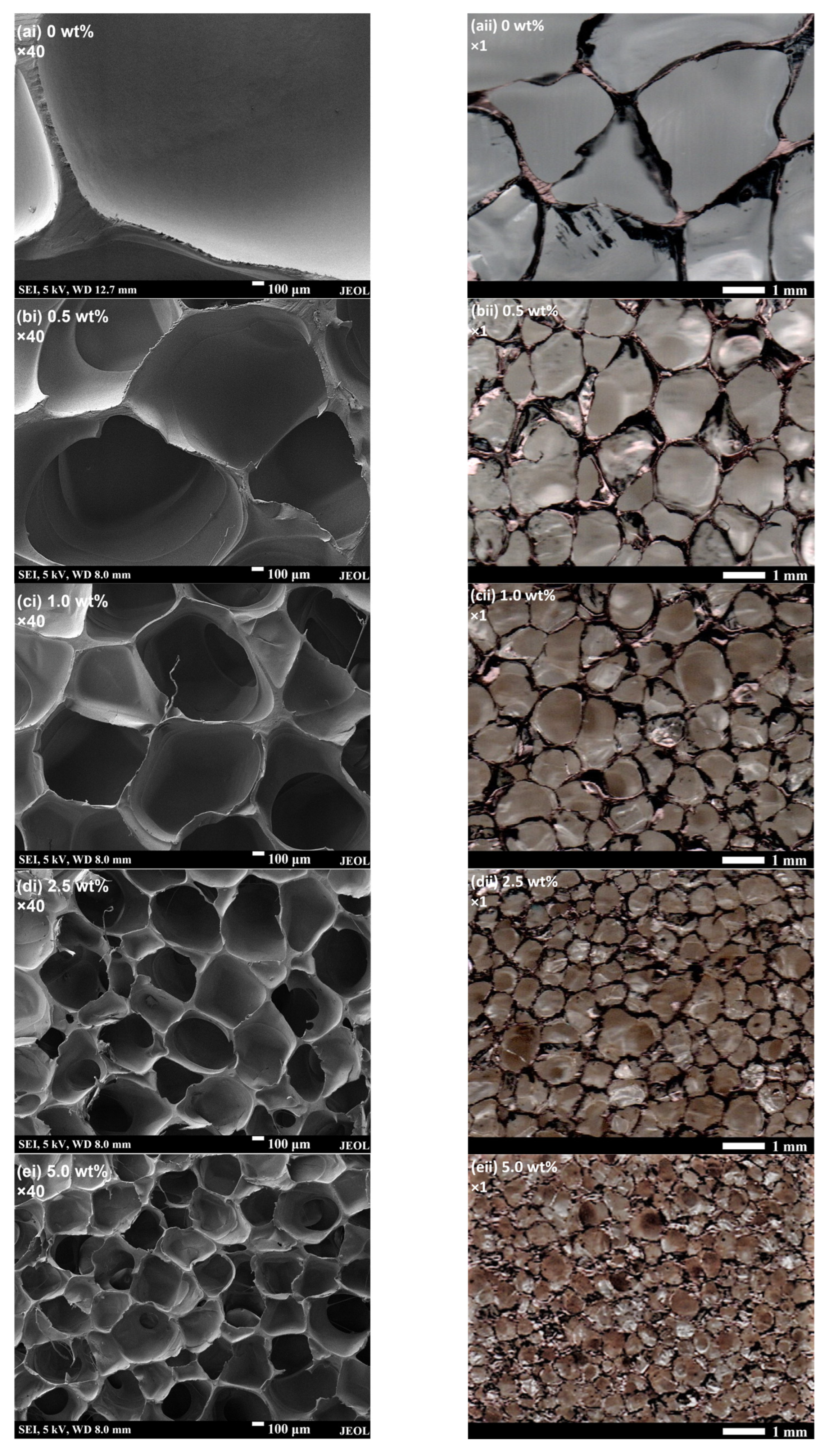 Polymers 15 01813 g005