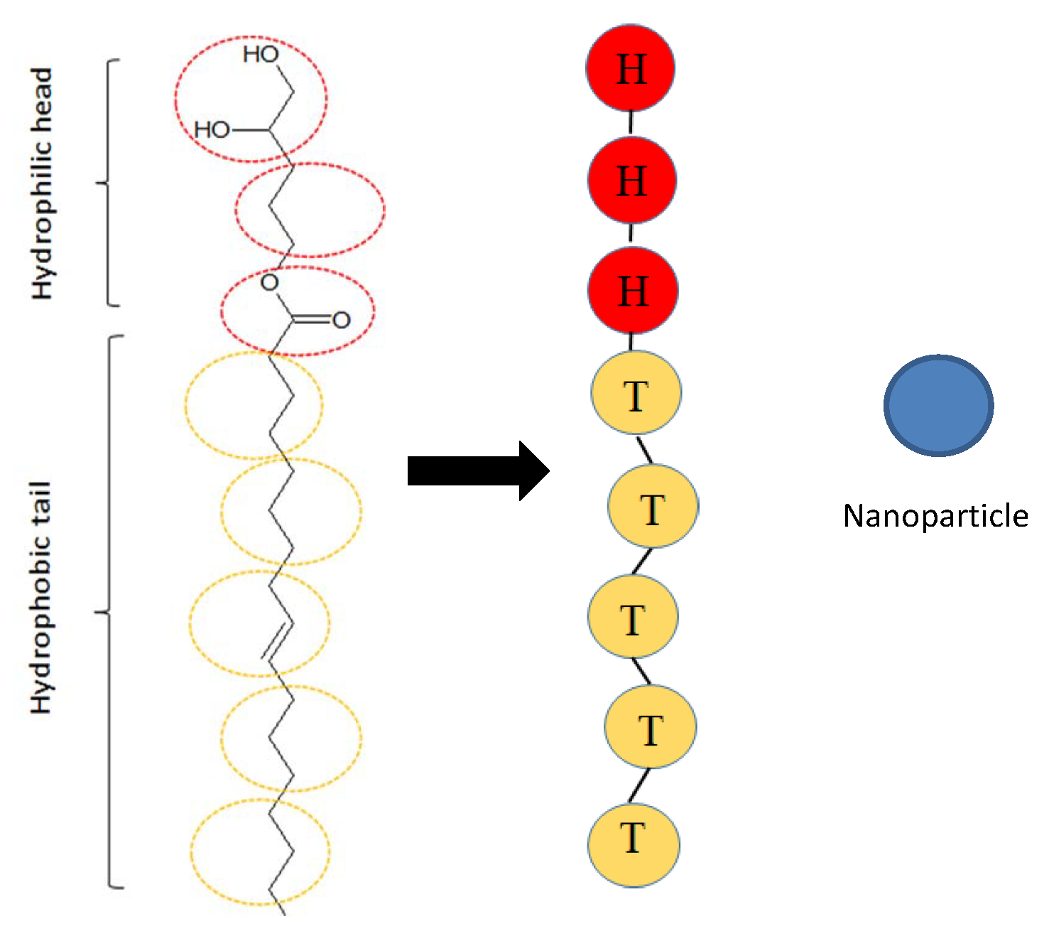 Polymers 15 01828 g001