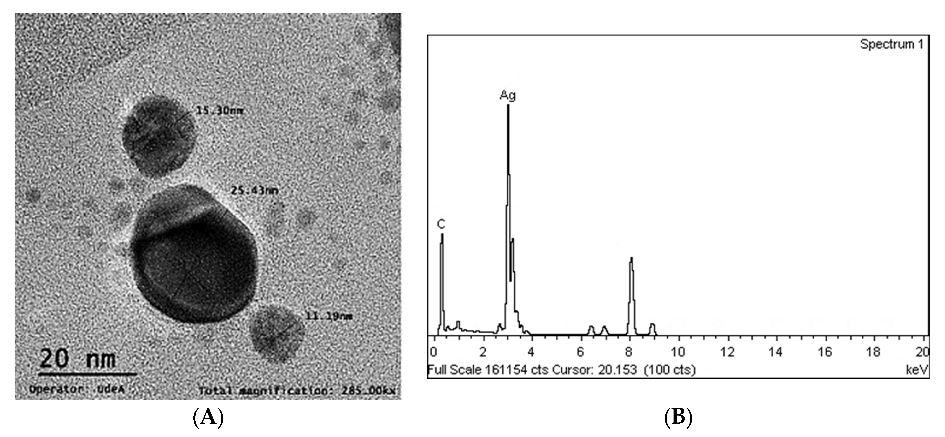 Polymers 15 01838 g003