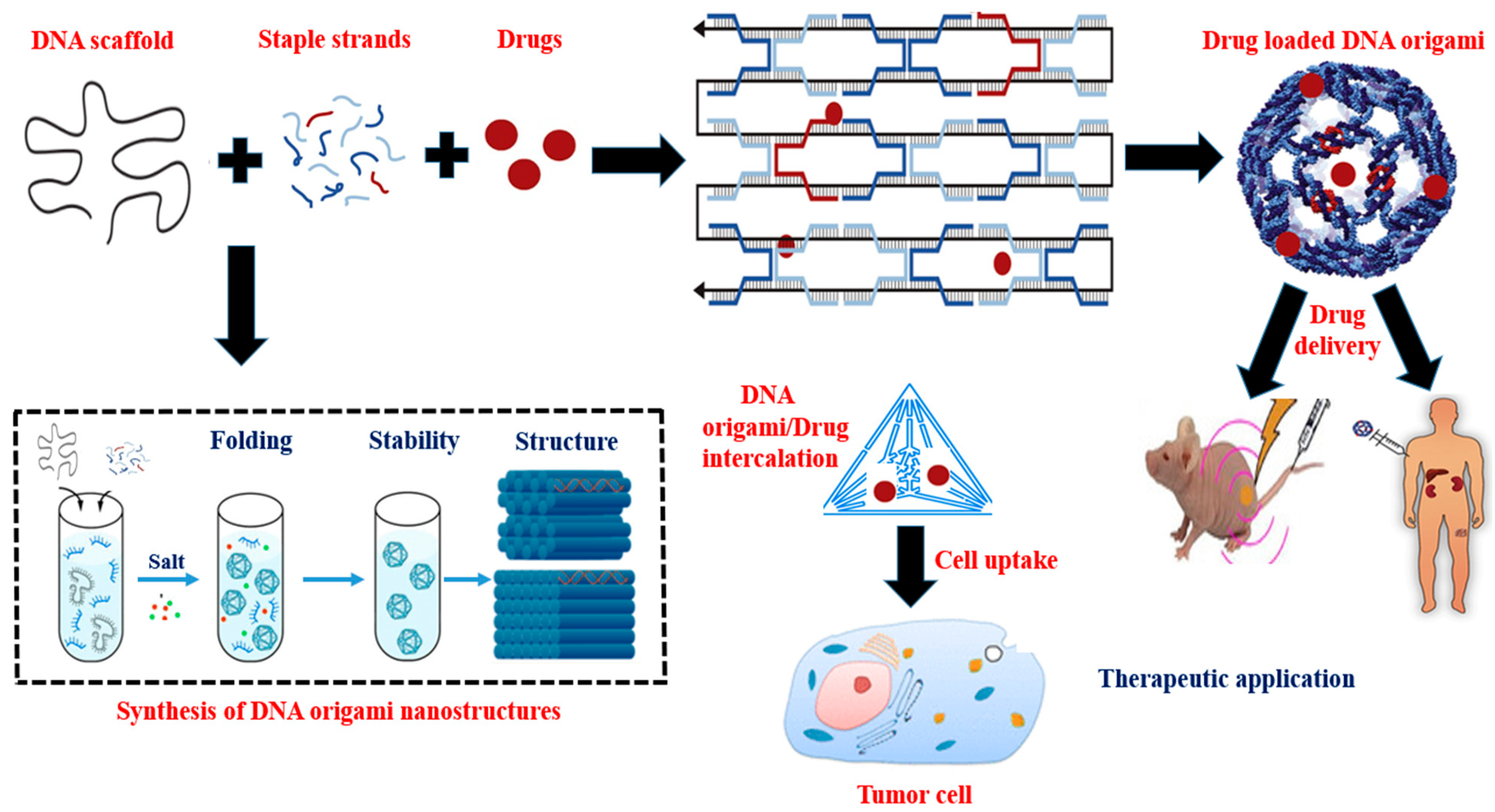 Polymers 15 01850 g001