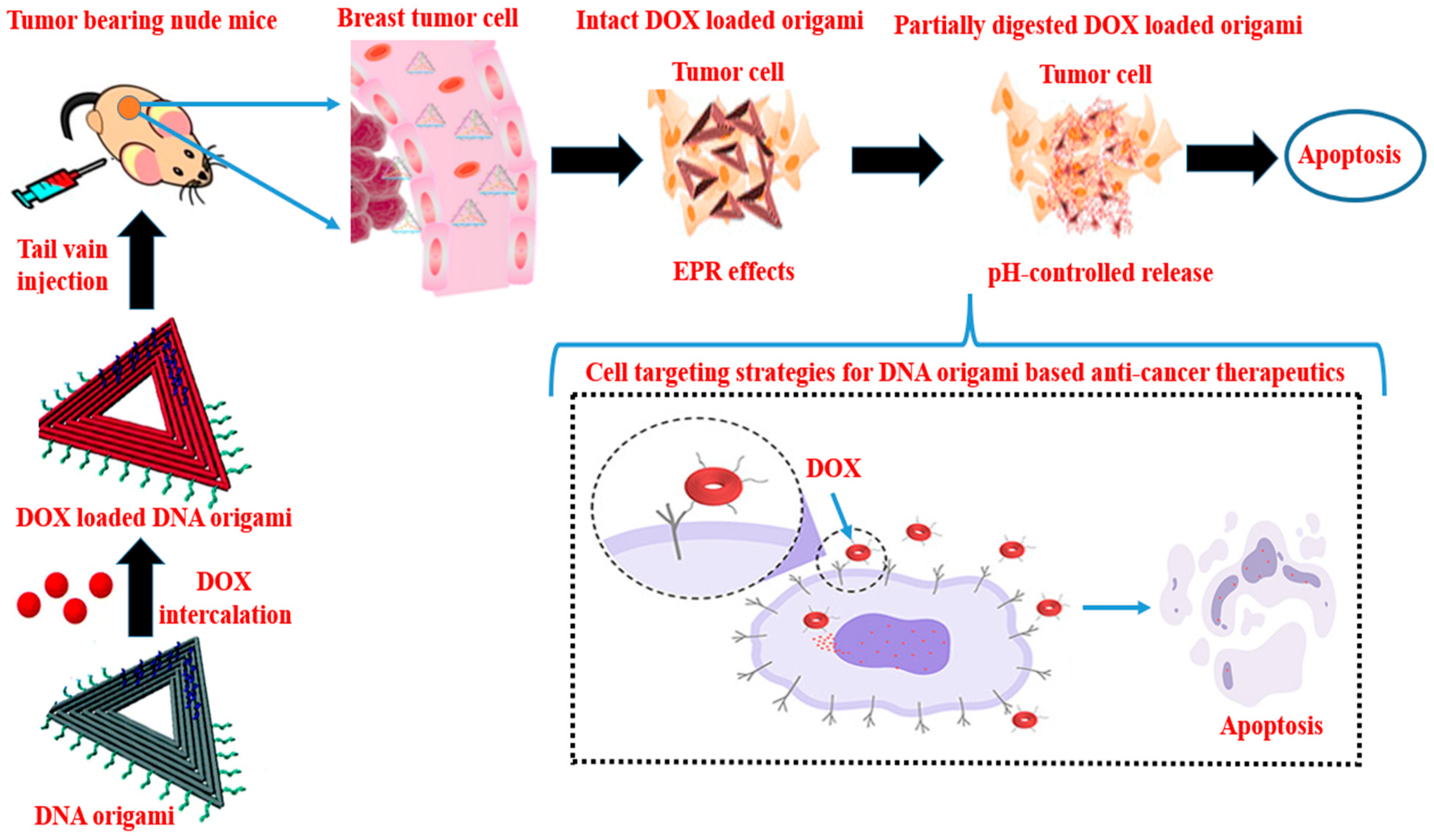 Polymers 15 01850 g002