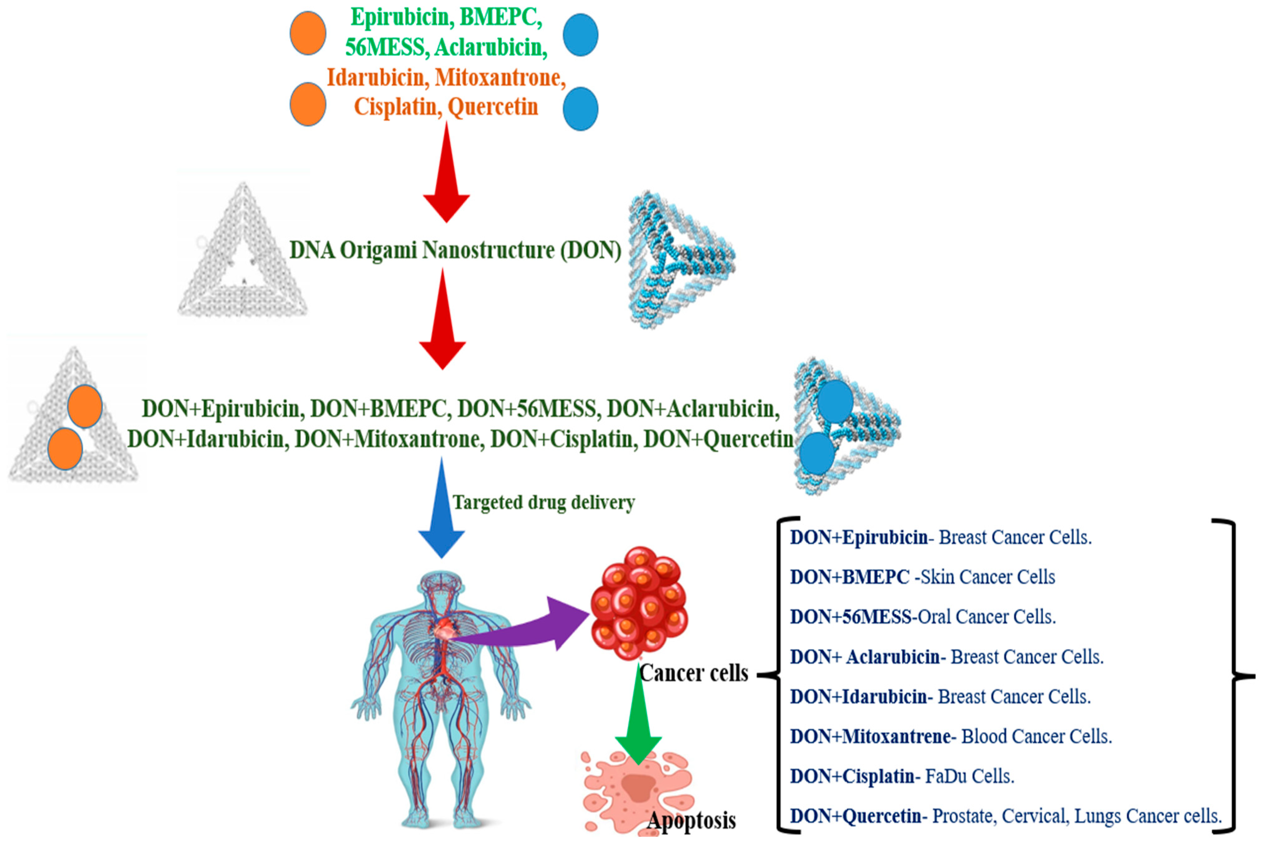 Polymers 15 01850 g003