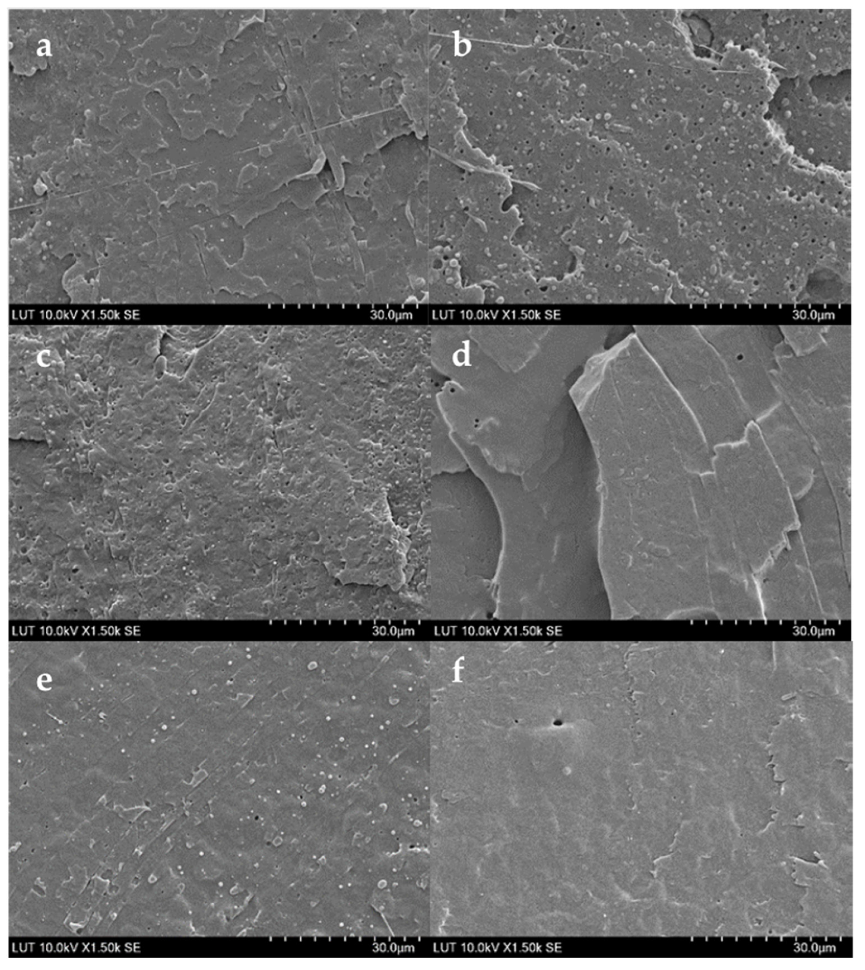Polymers 15 01859 g005