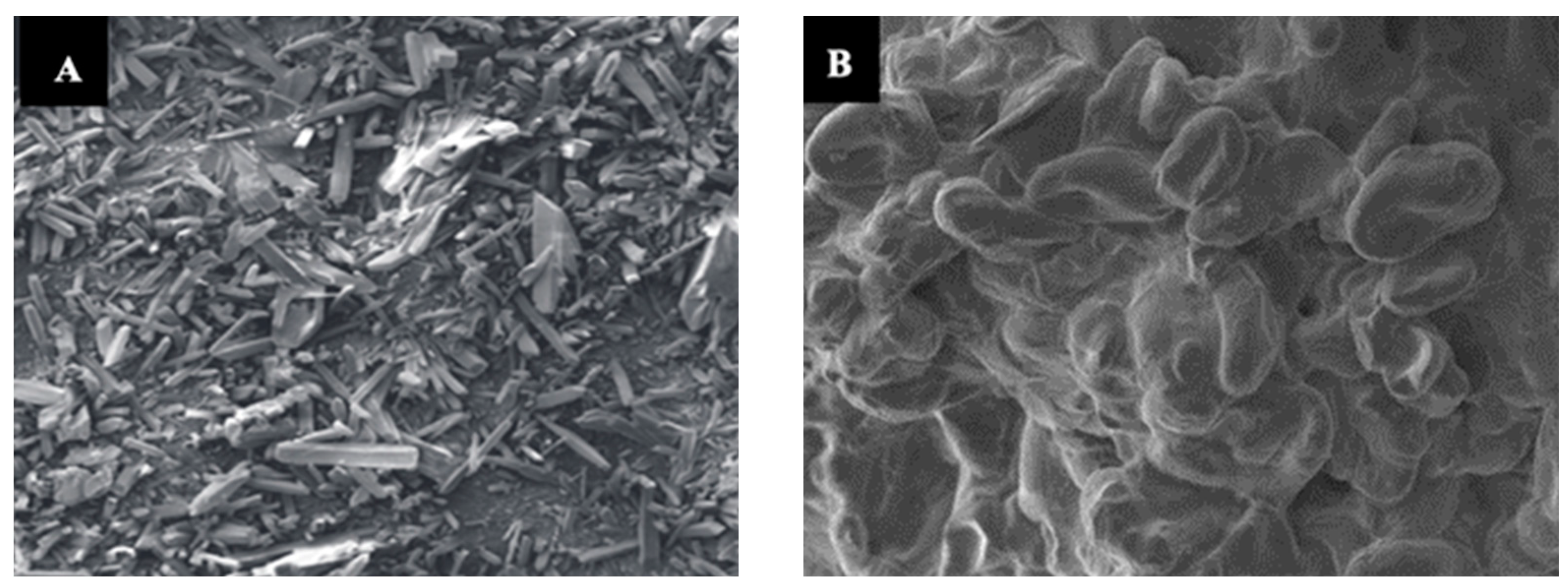Polymers 15 01863 g004