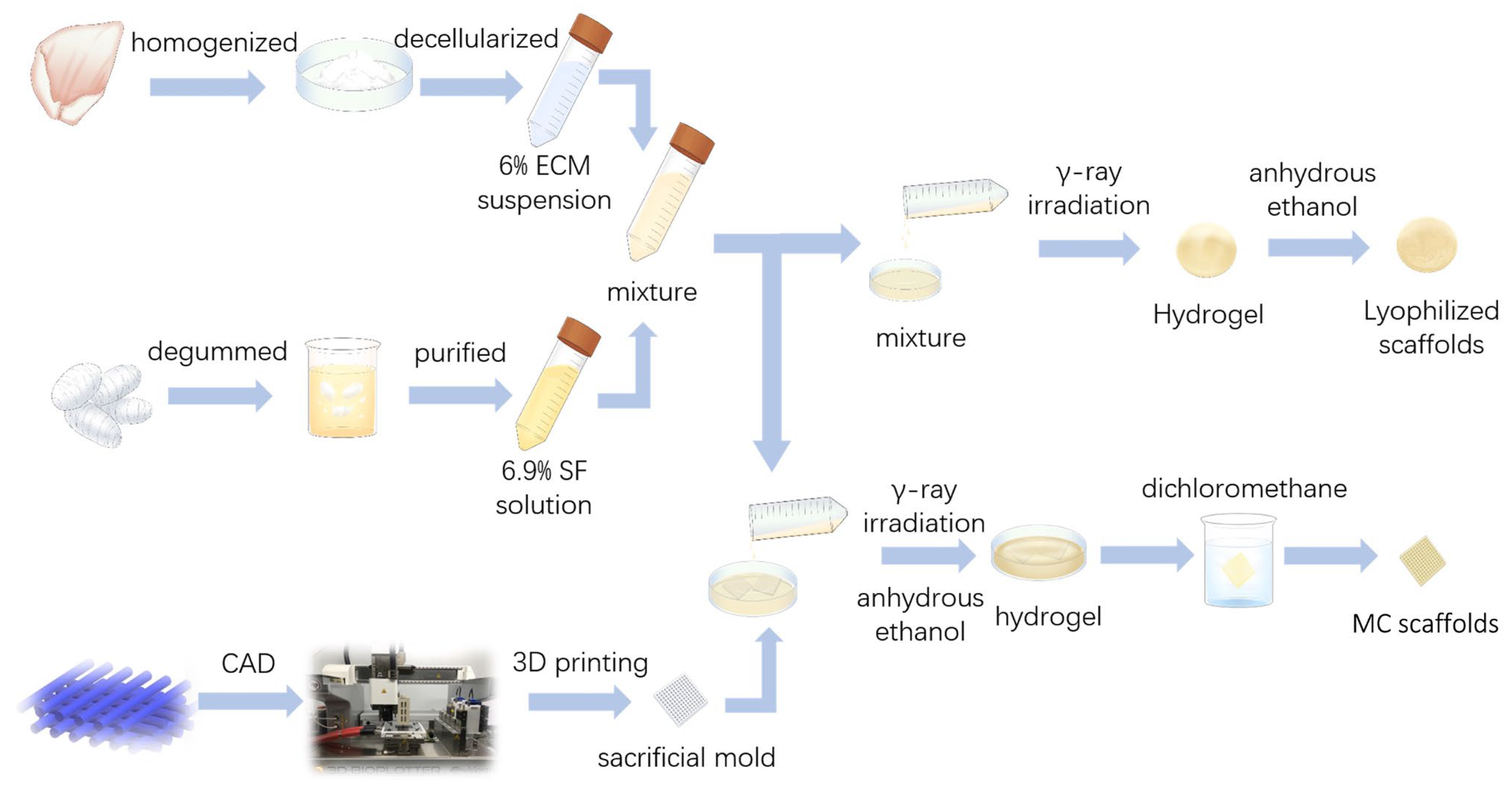Polymers 15 01868 g001