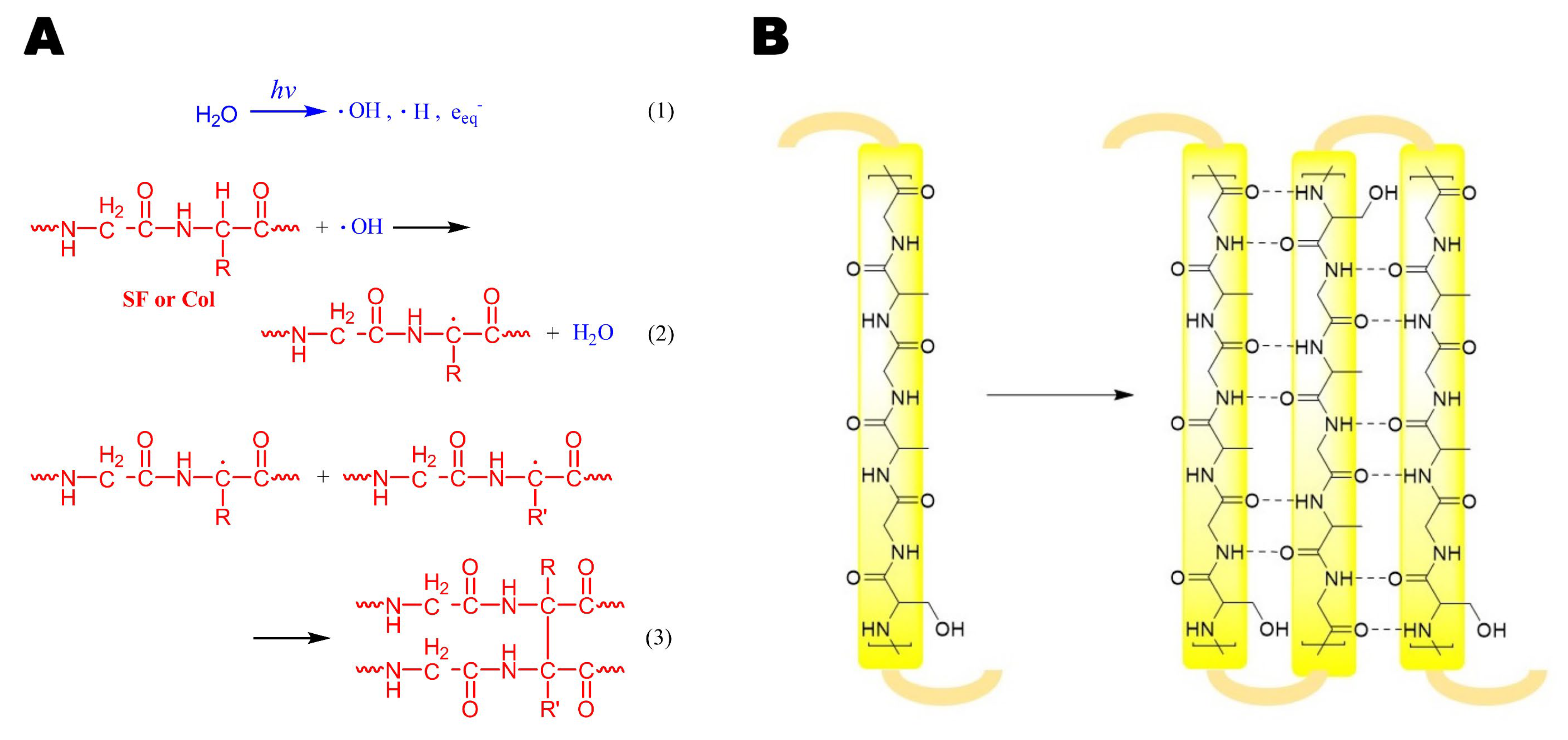 Polymers 15 01868 g002