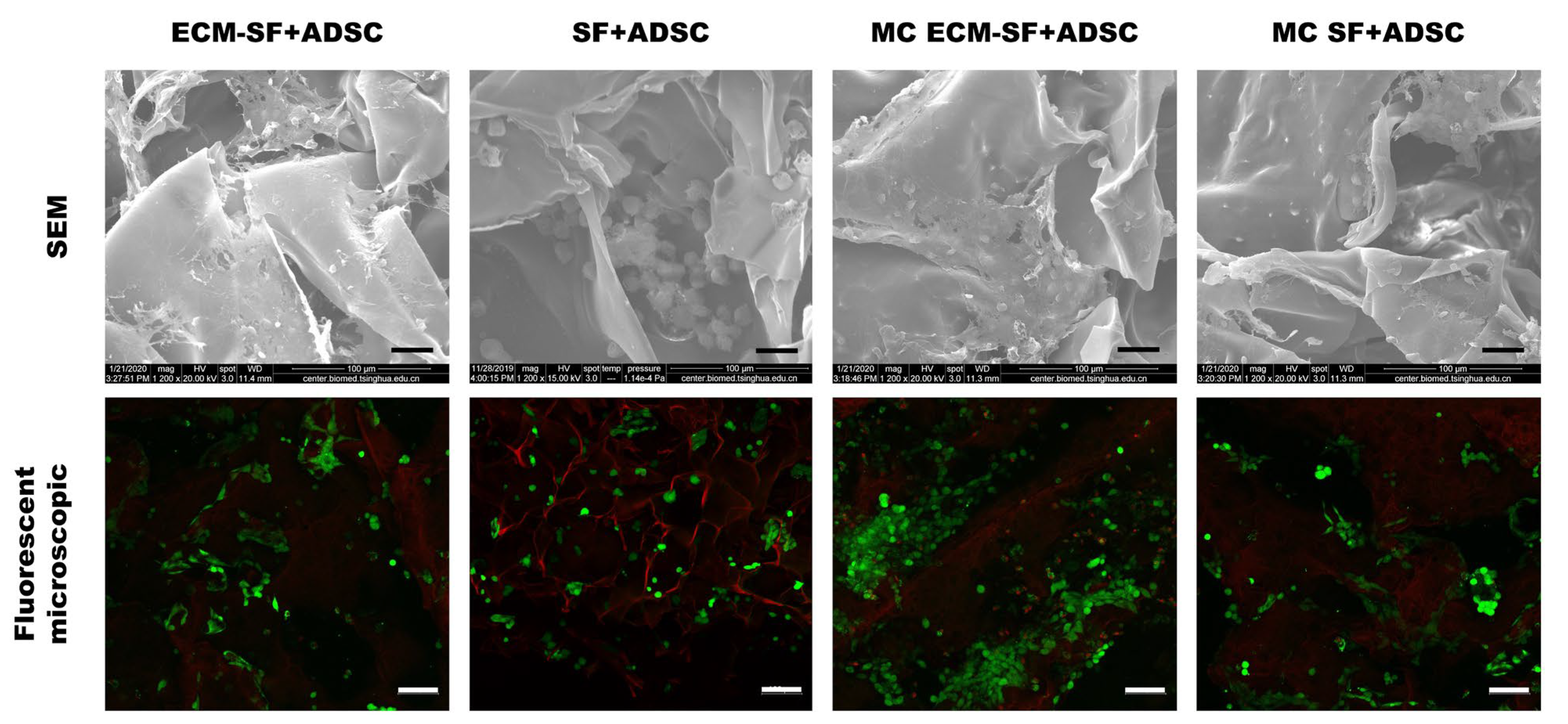 Polymers 15 01868 g004