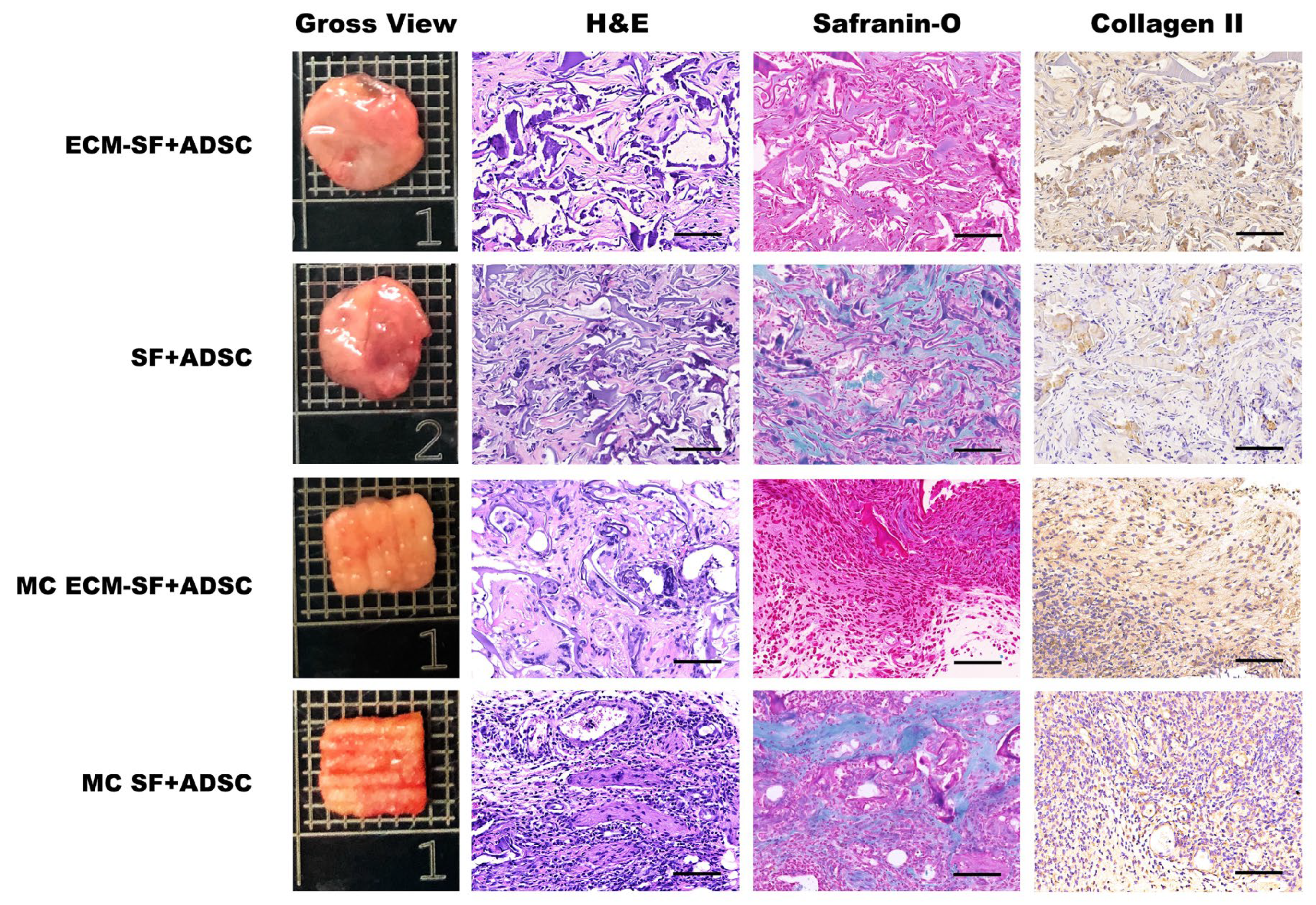 Polymers 15 01868 g005