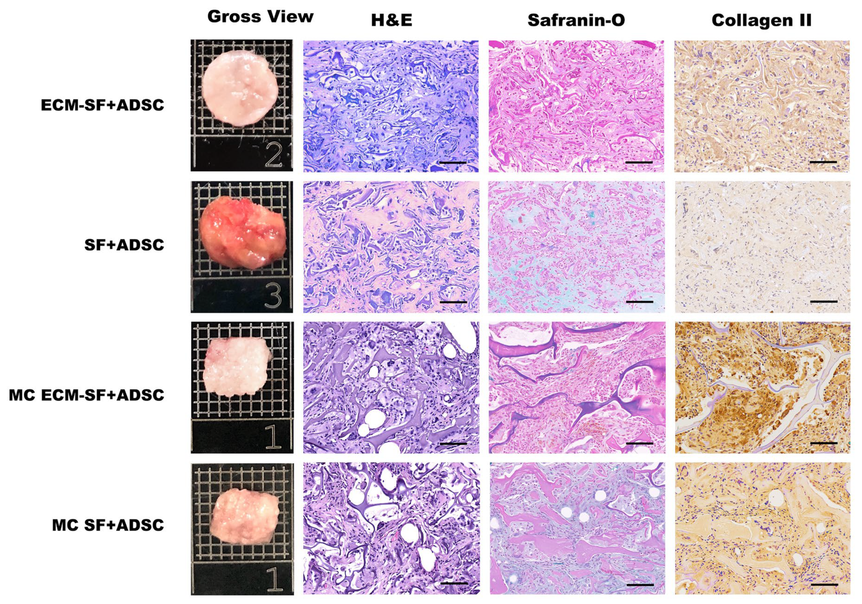 Polymers 15 01868 g006