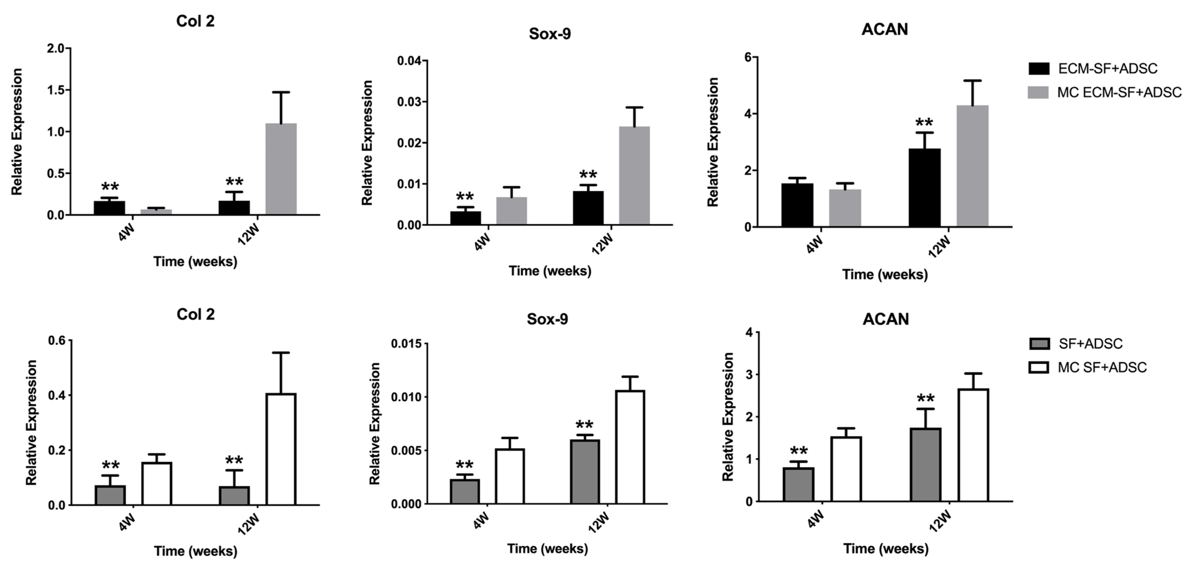 Polymers 15 01868 g007
