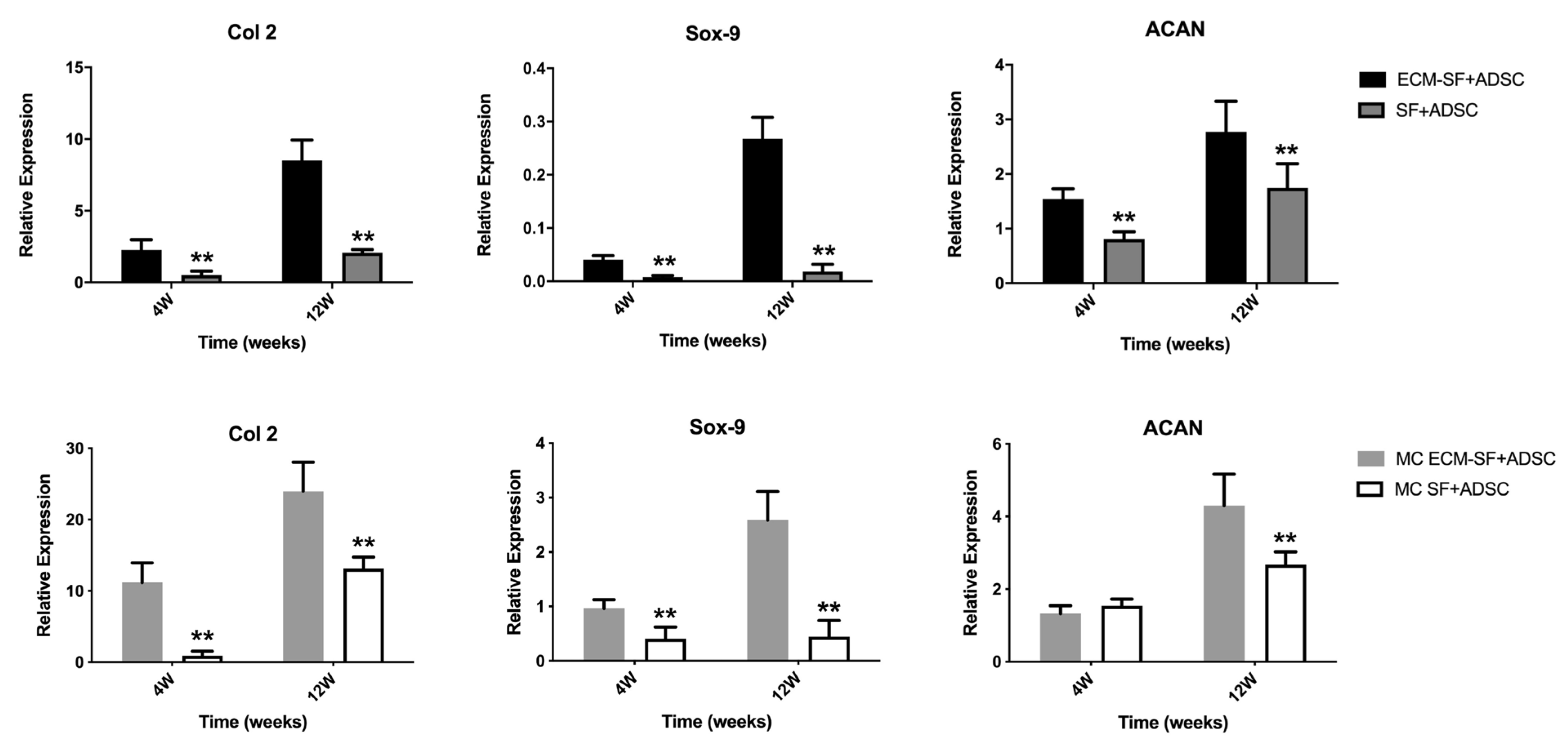 Polymers 15 01868 g008