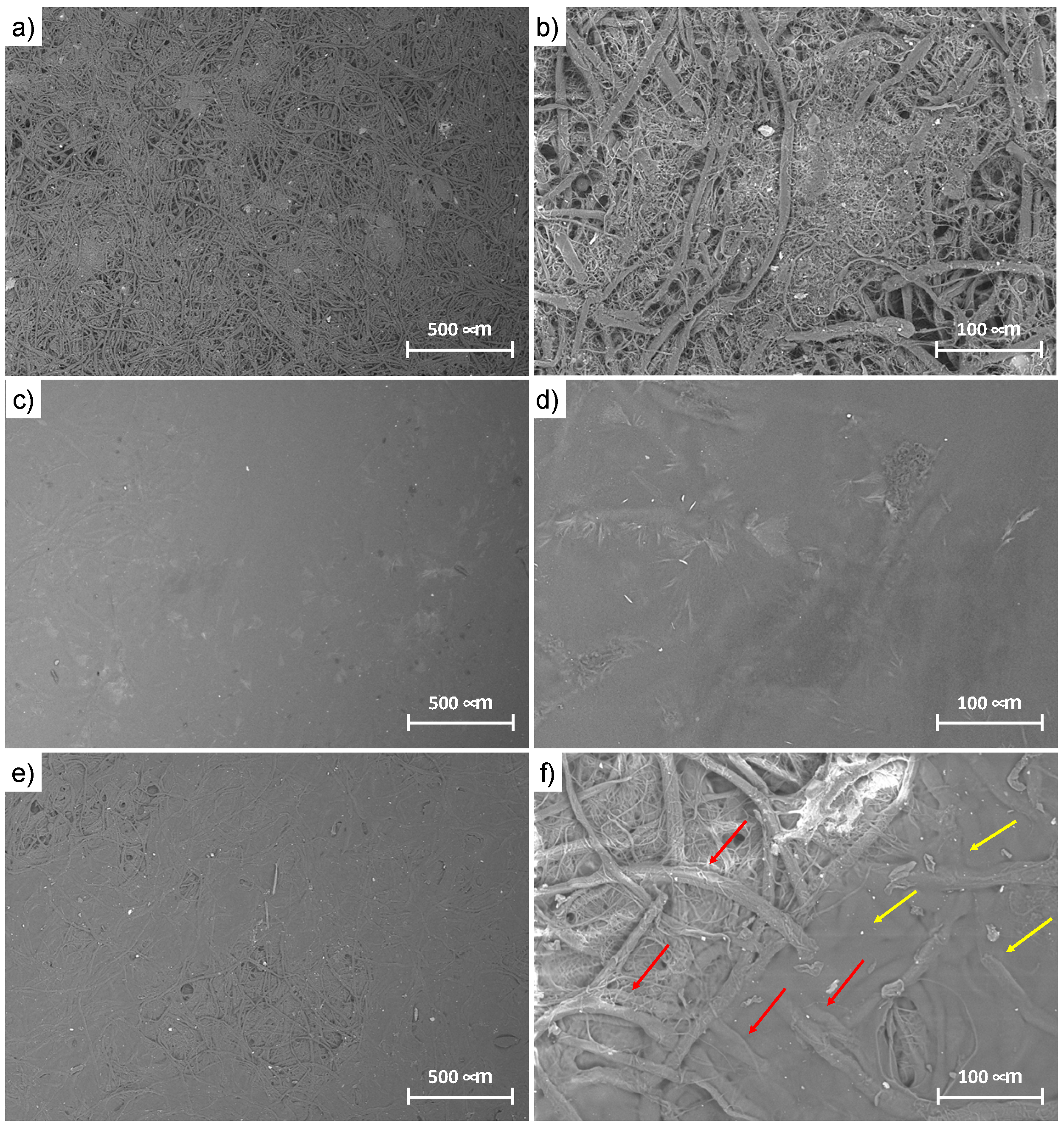 Polymers 15 01871 g006