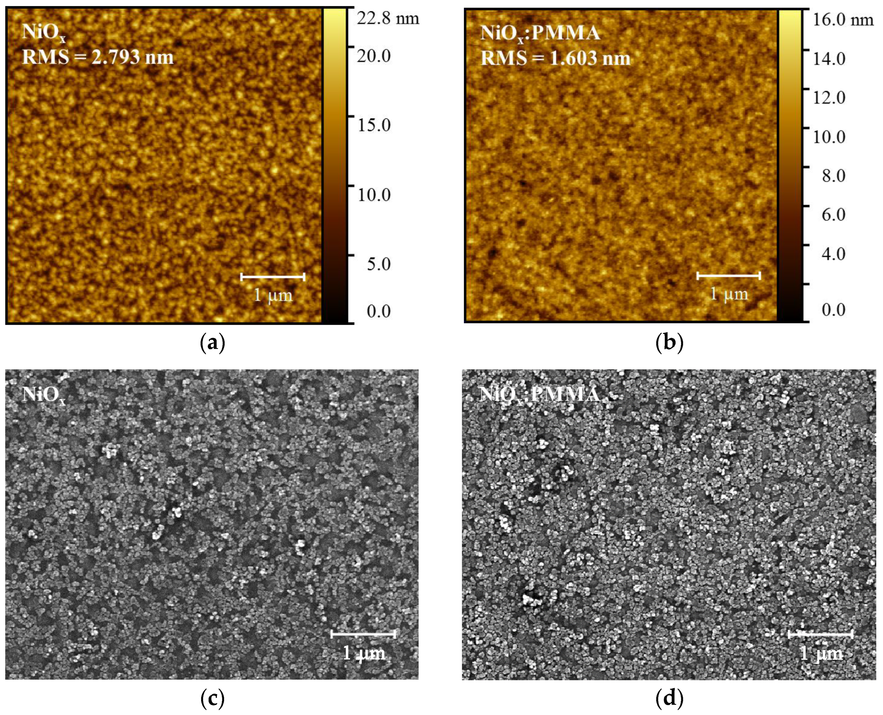 Polymers 15 01875 g006