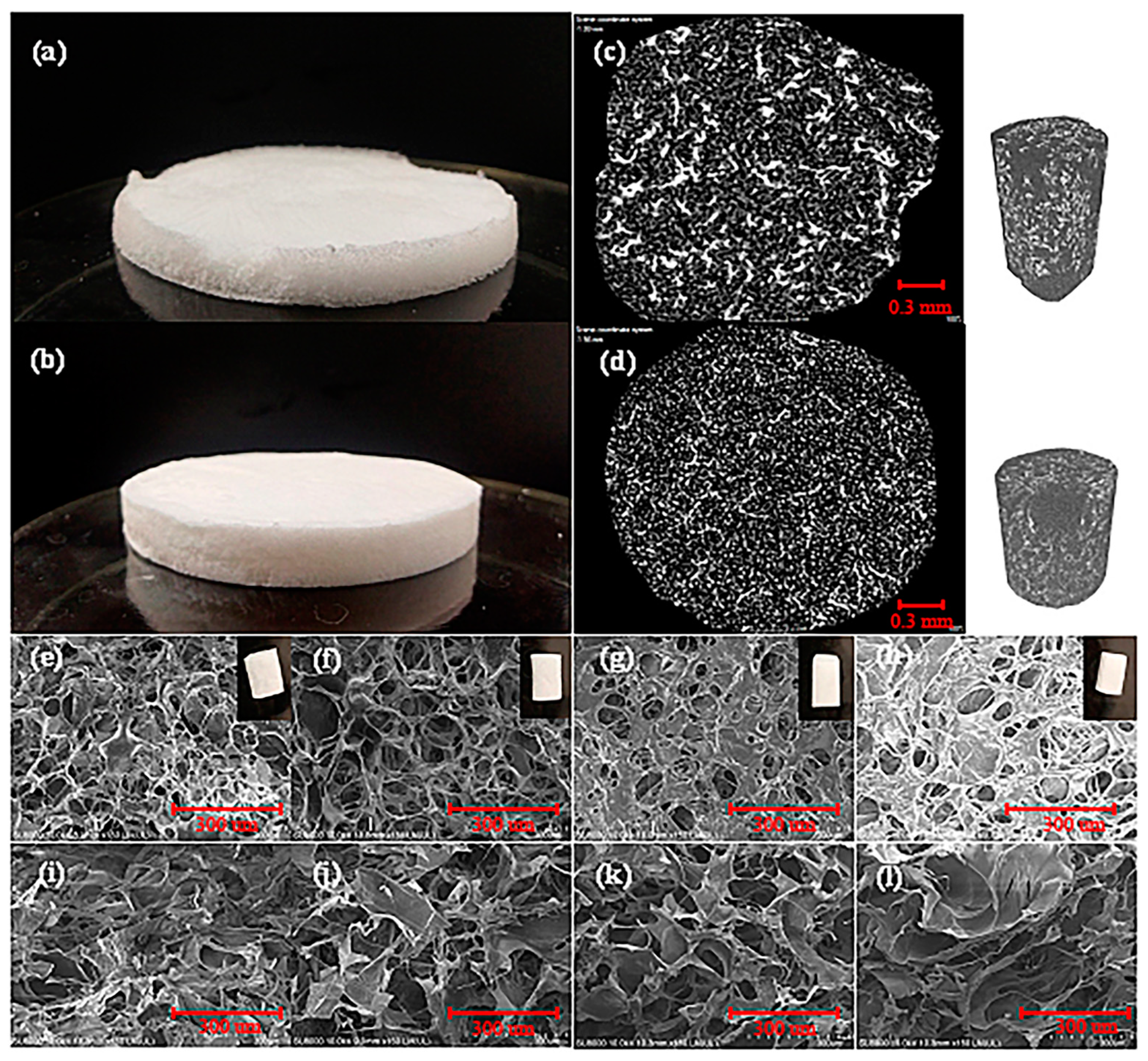 Polymers 15 01879 g001