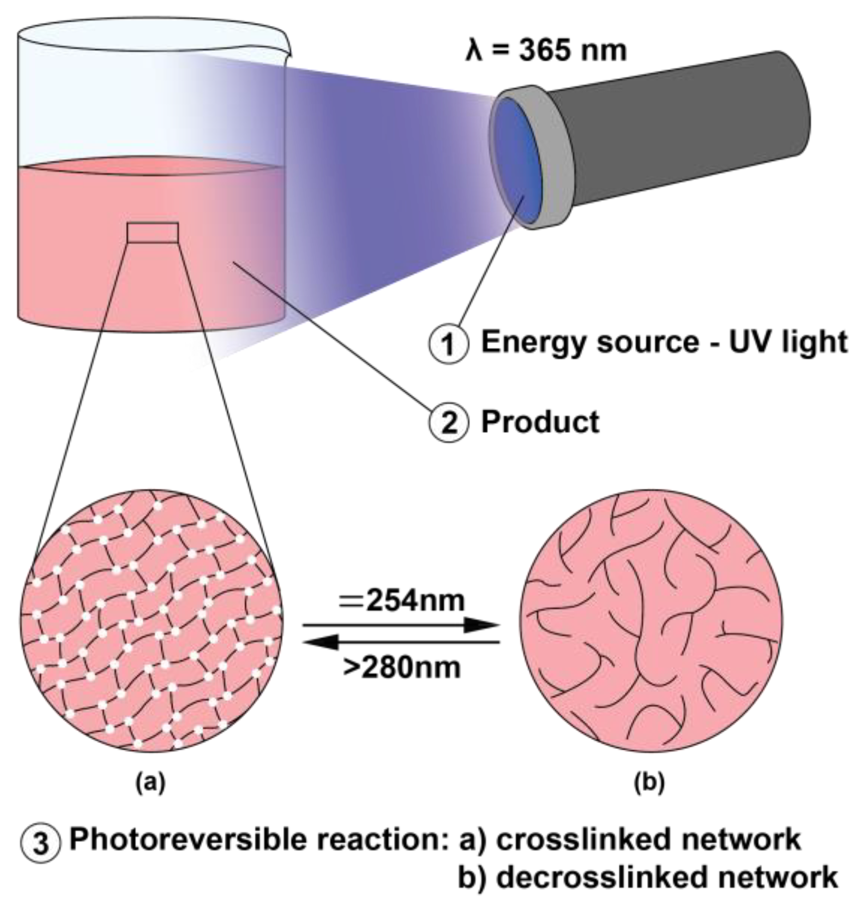 Polymers 15 01885 g001