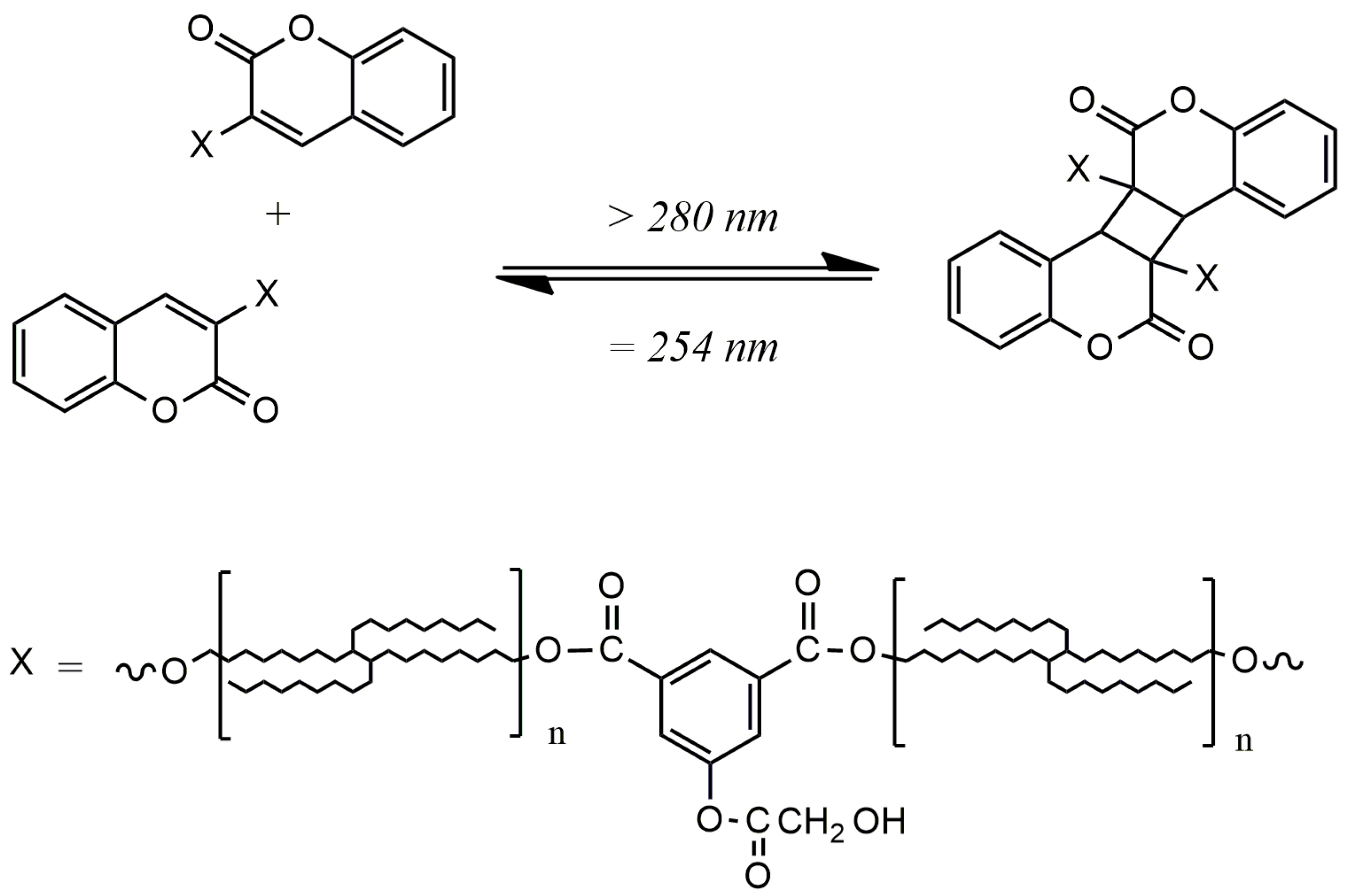 Polymers 15 01885 g002