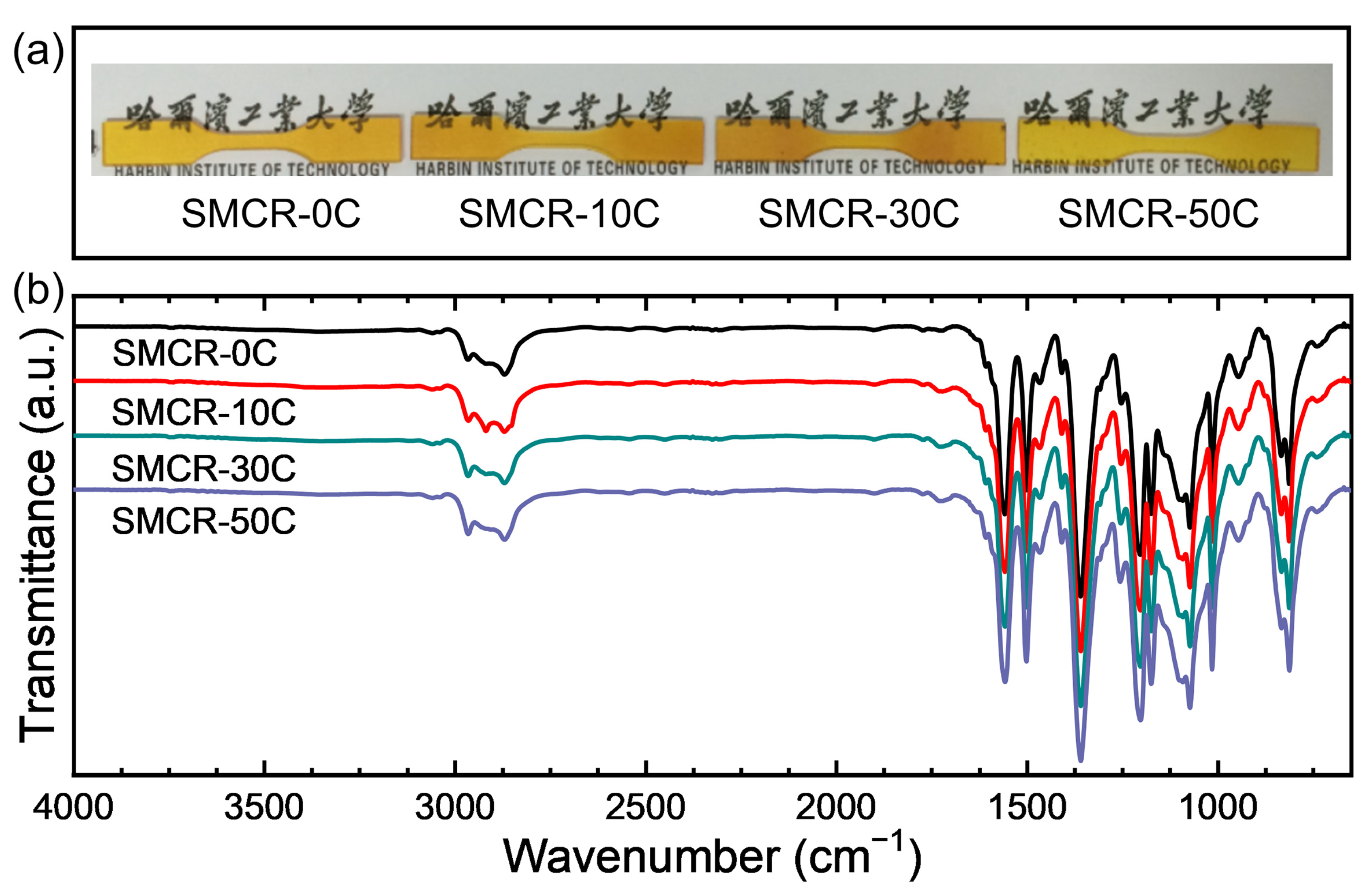 Polymers 15 01893 g001