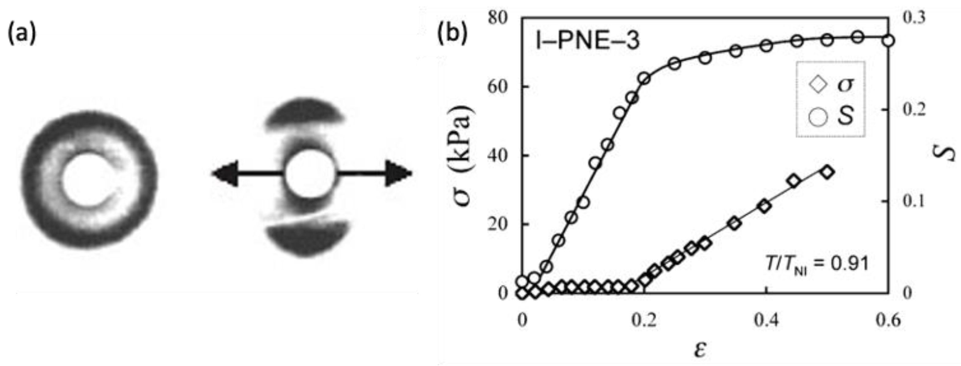 Polymers 15 01904 g002