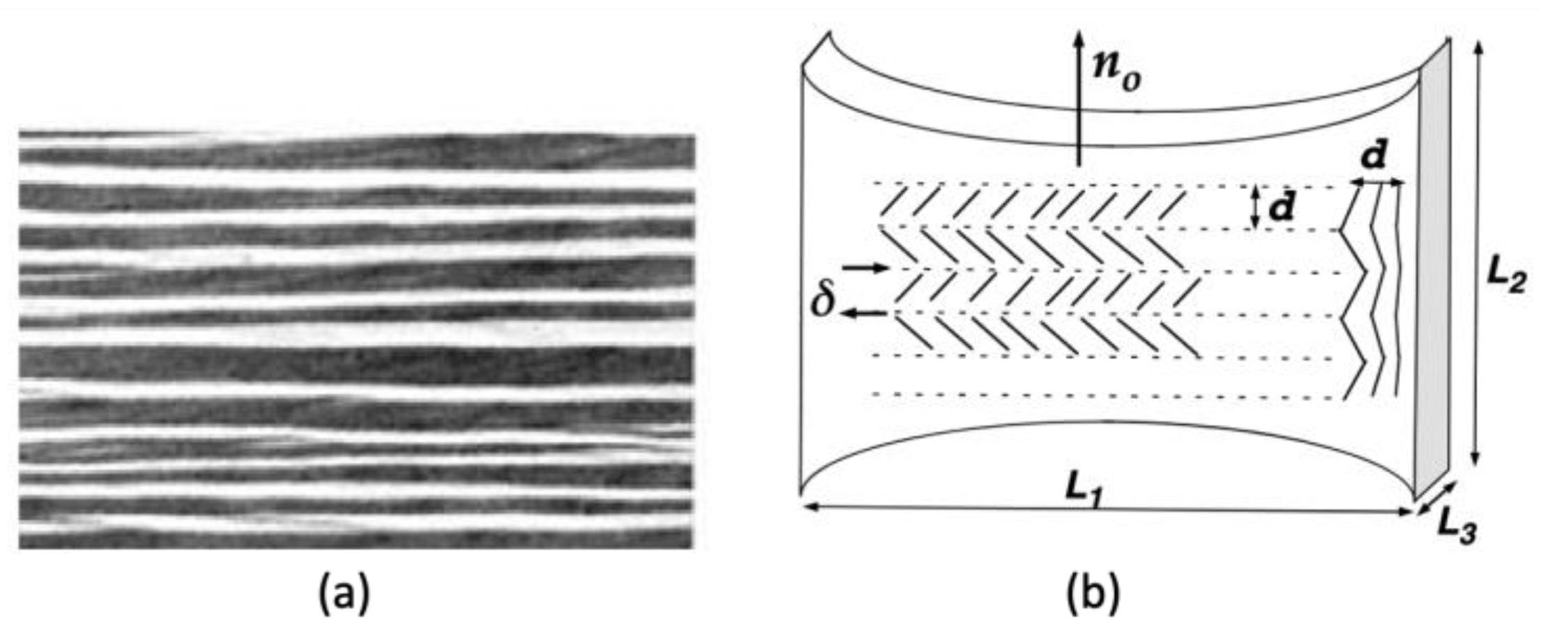 Polymers 15 01904 g003