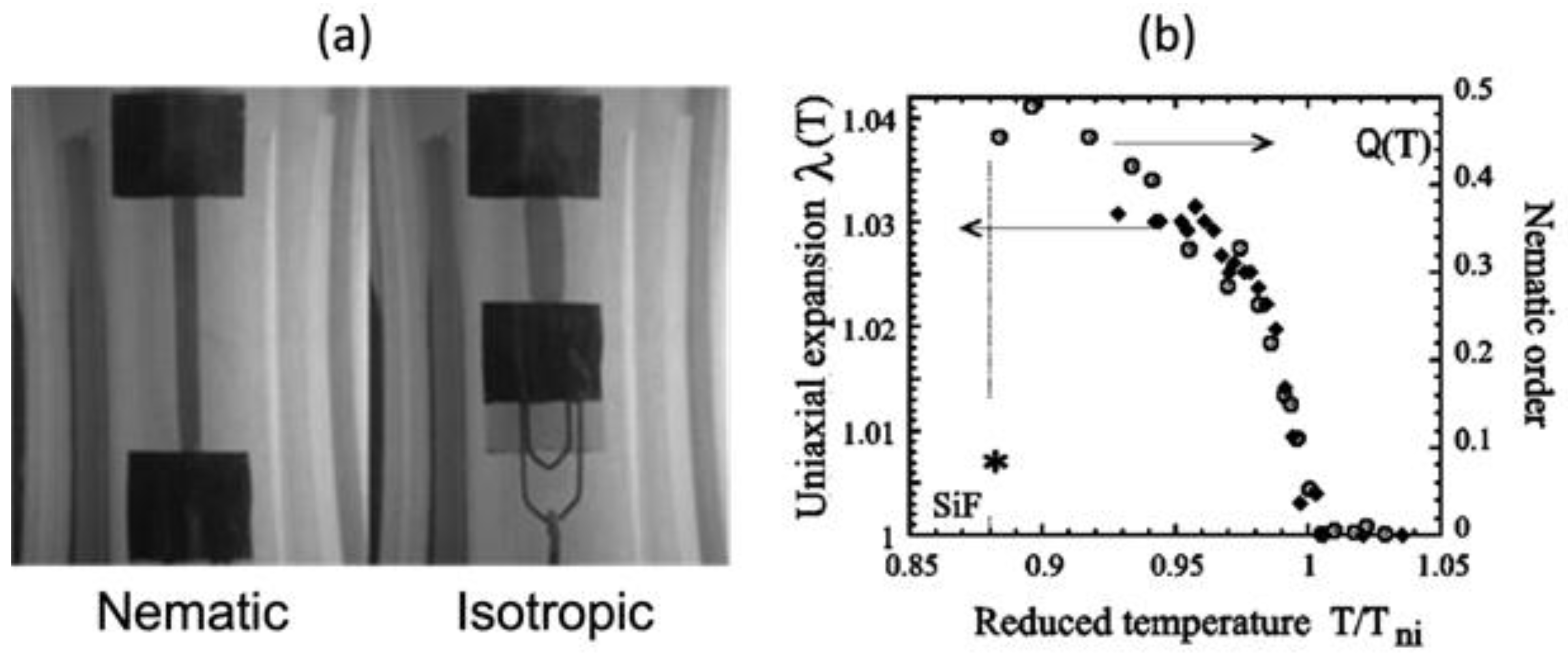 Polymers 15 01904 g004