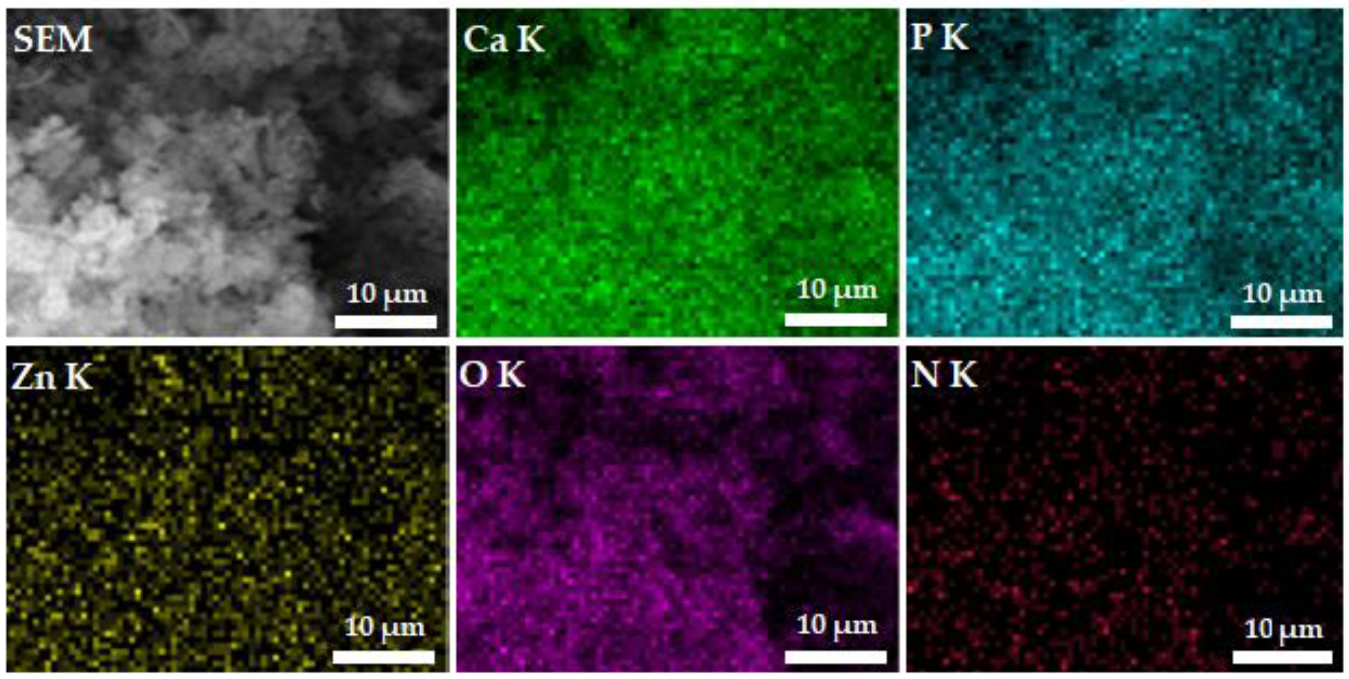 Polymers 15 01908 g005