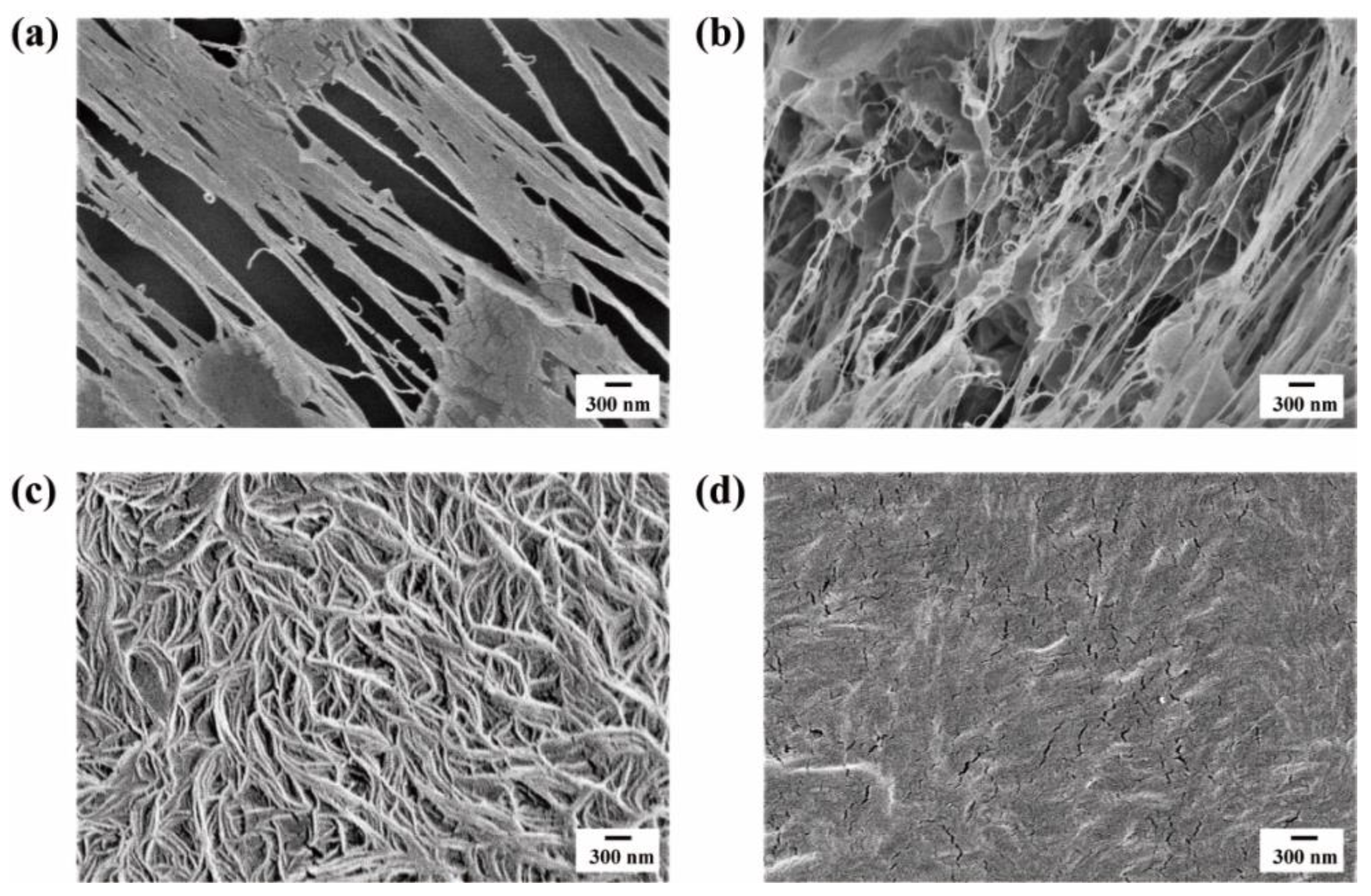 Polymers 15 01910 g001