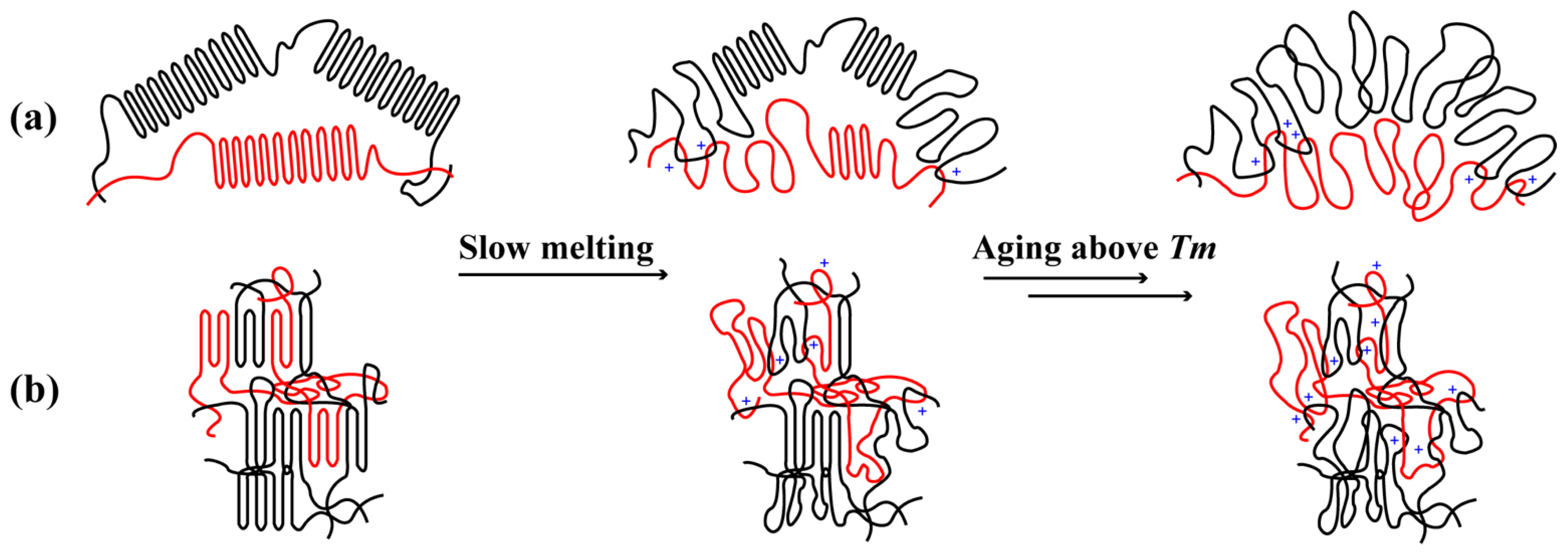 Polymers 15 01910 g008