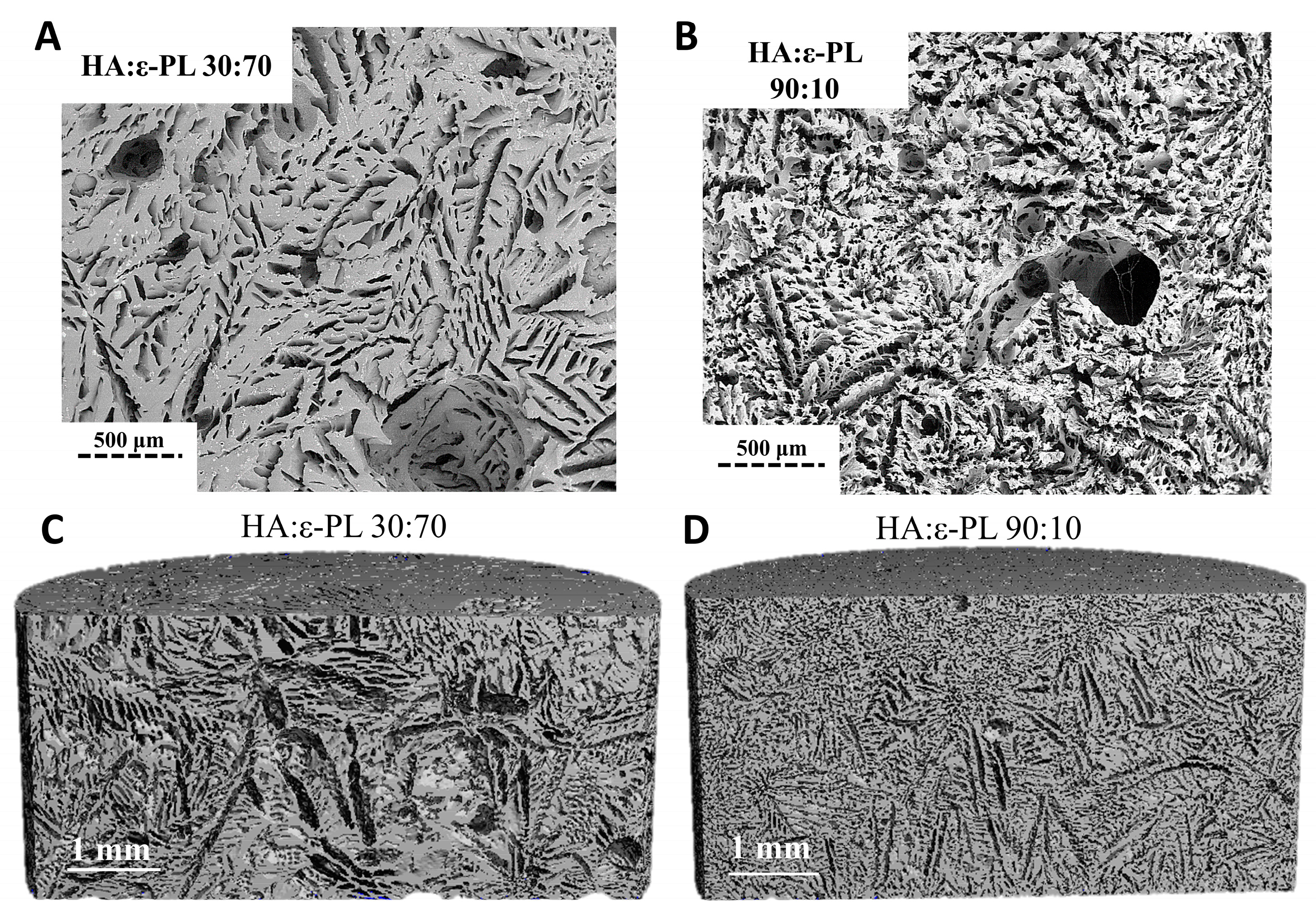Polymers 15 01915 g005