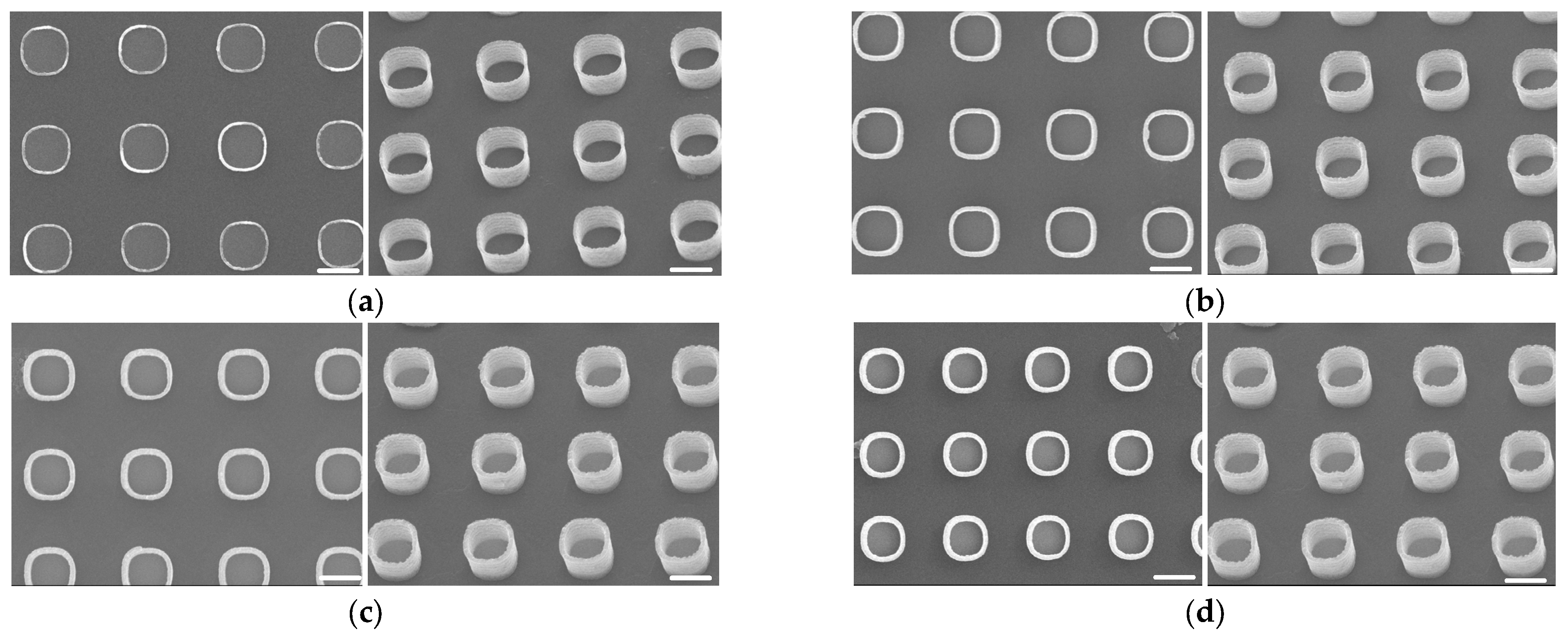 Polymers 15 01919 g003