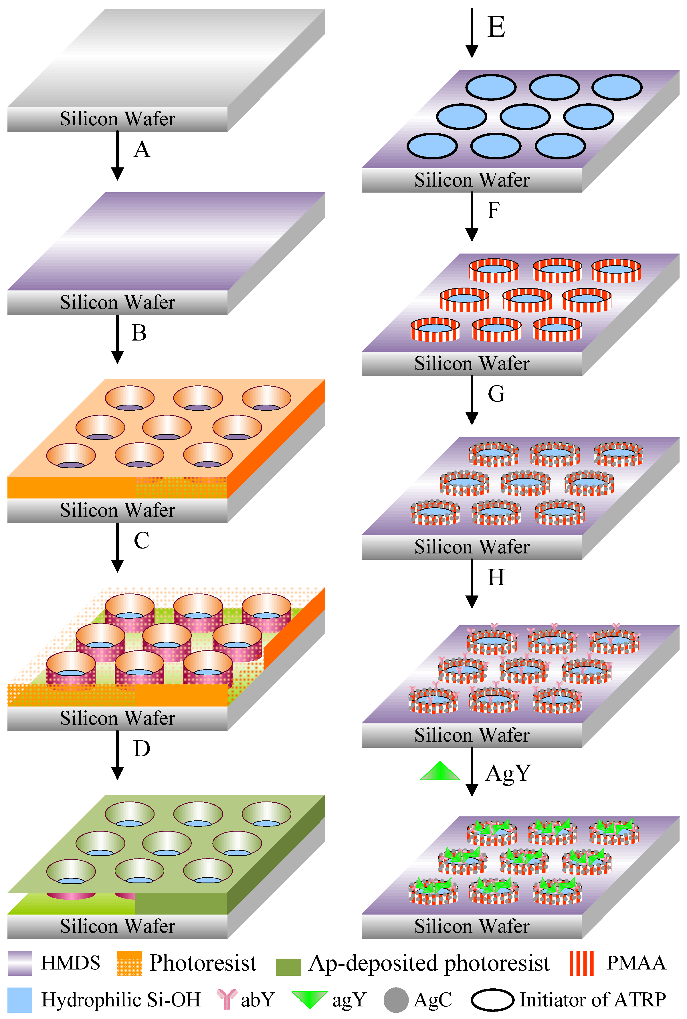 Polymers 15 01919 sch001
