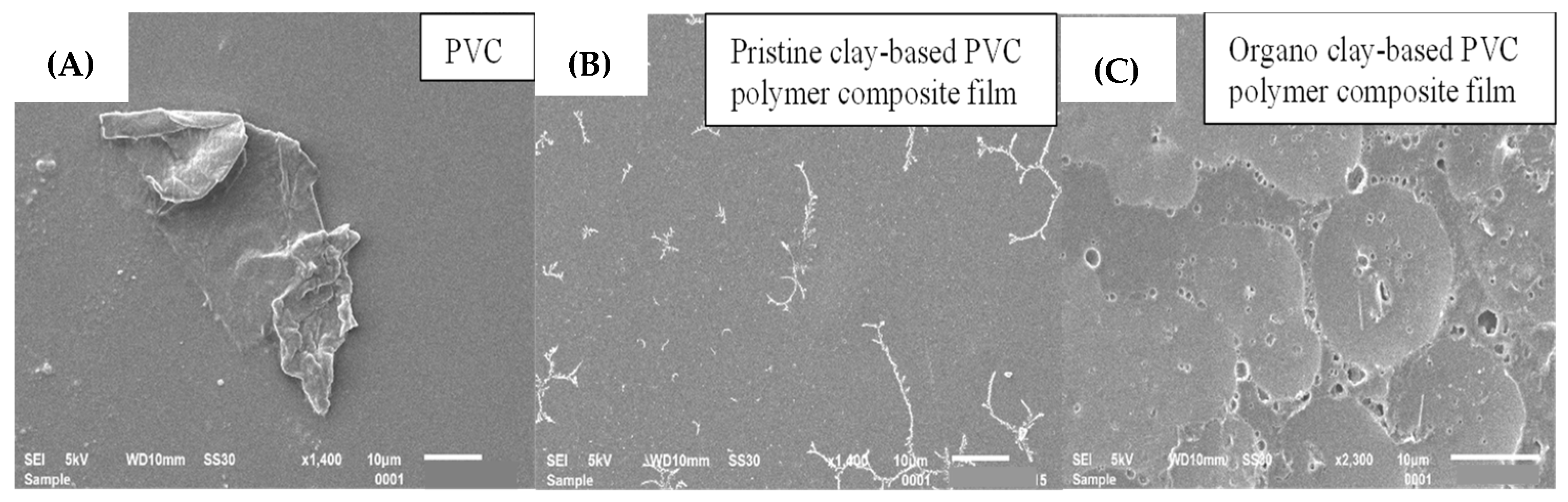 Polymers 15 01922 g010 Polymers 15 01922 g010