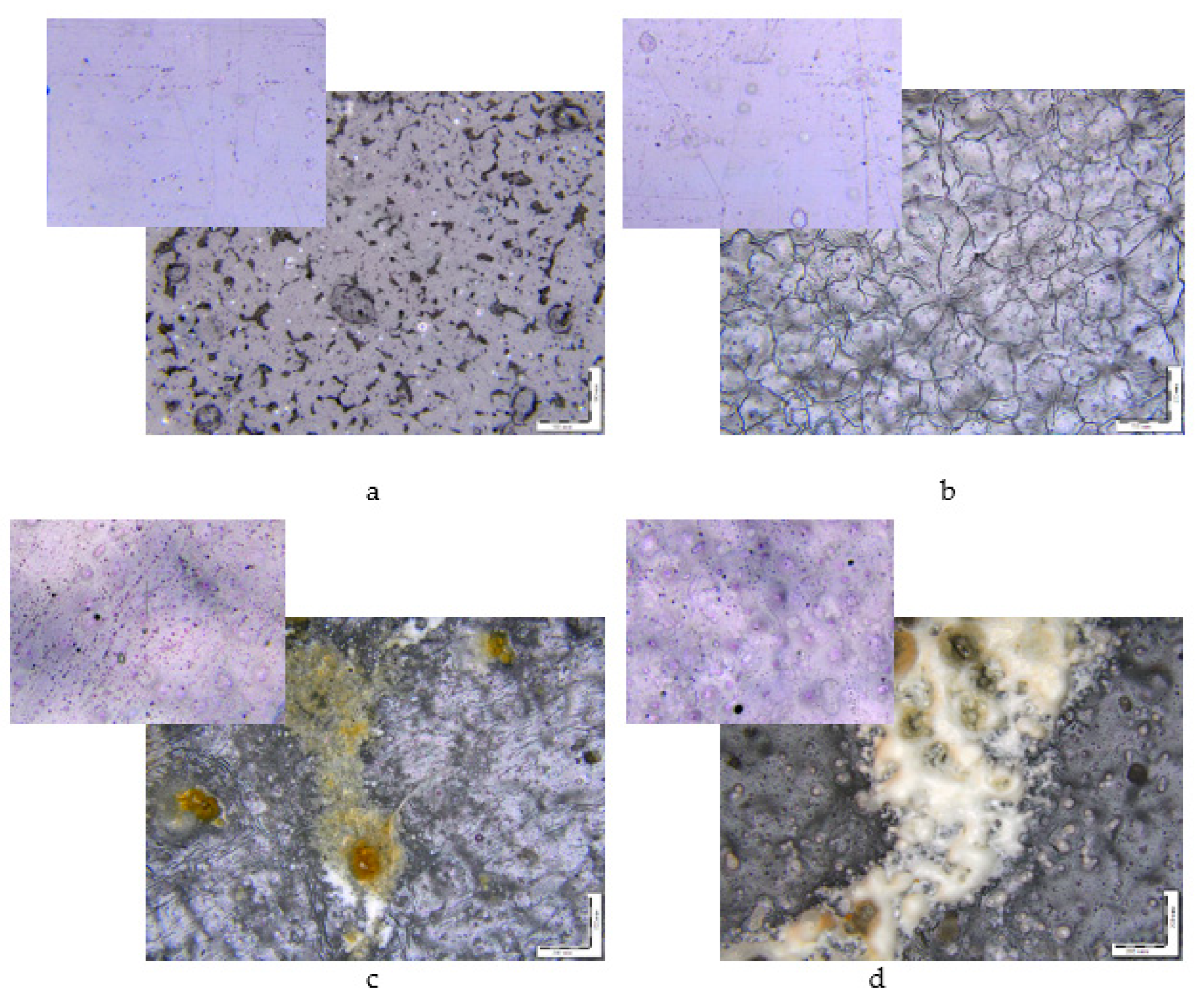 Polymers 15 01930 g002