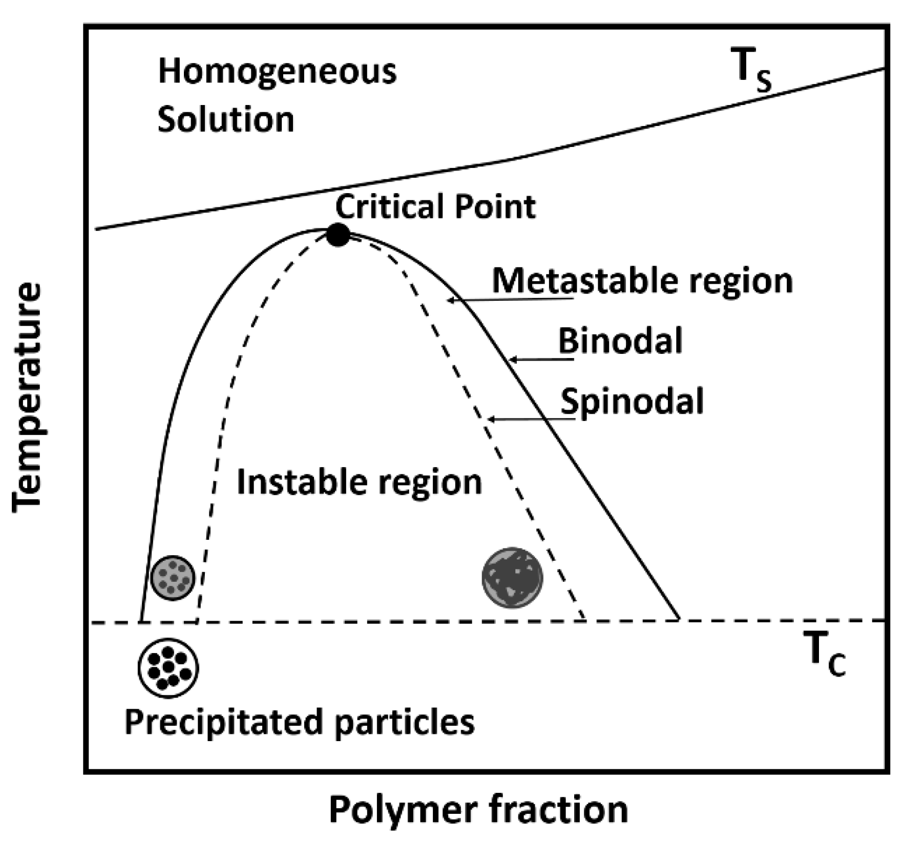 Polymers 15 01944 g001