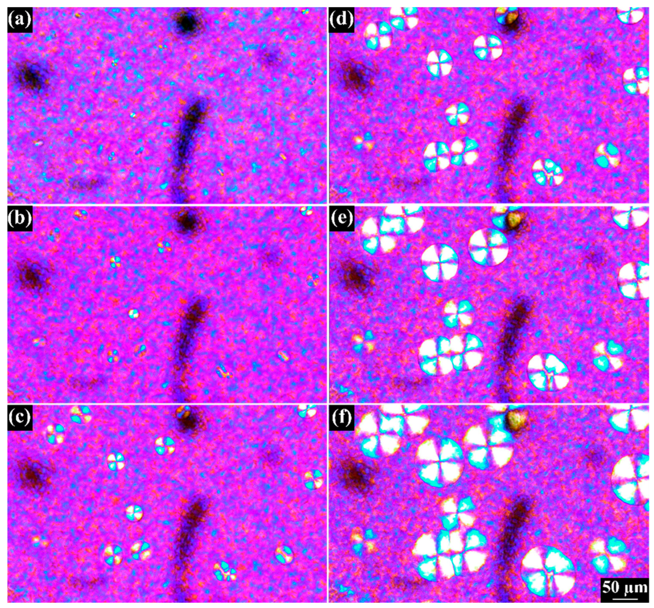 Polymers 15 01952 g011