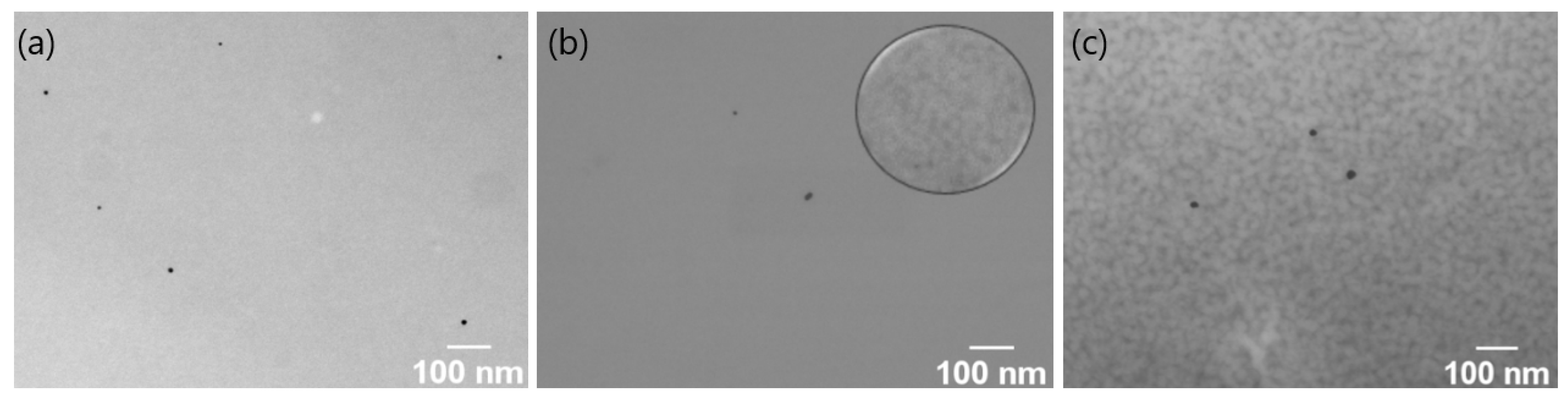 Polymers 15 01963 g006