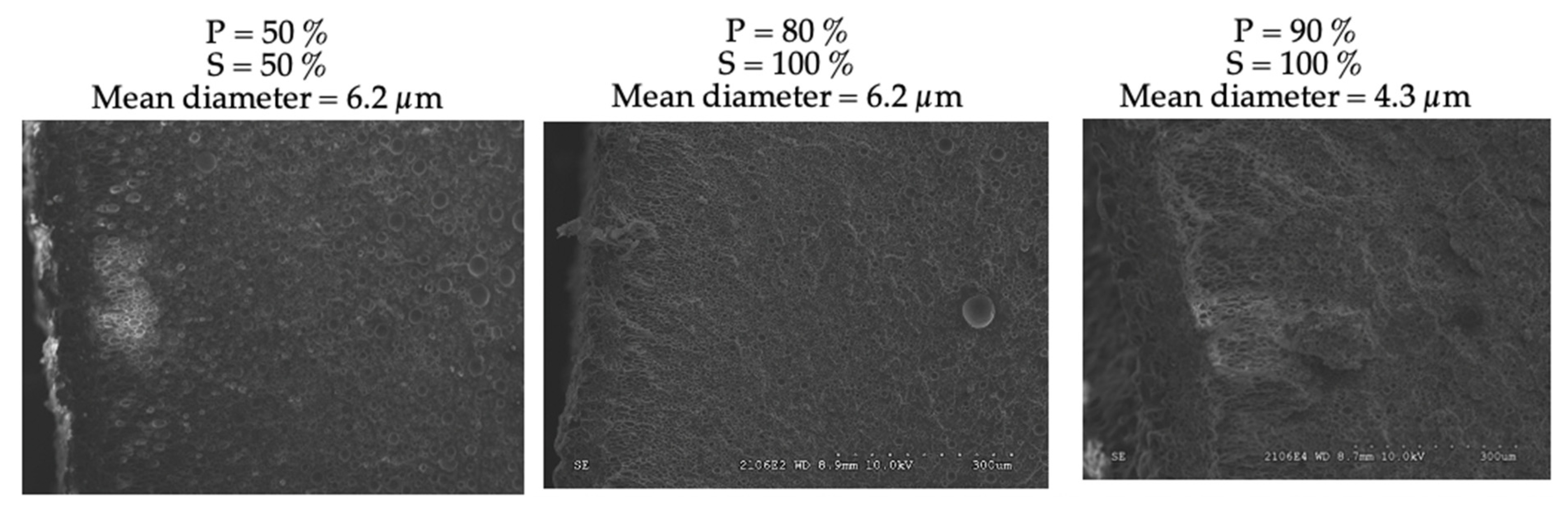 Polymers 15 01968 g005 Polymers 15 01968 g005