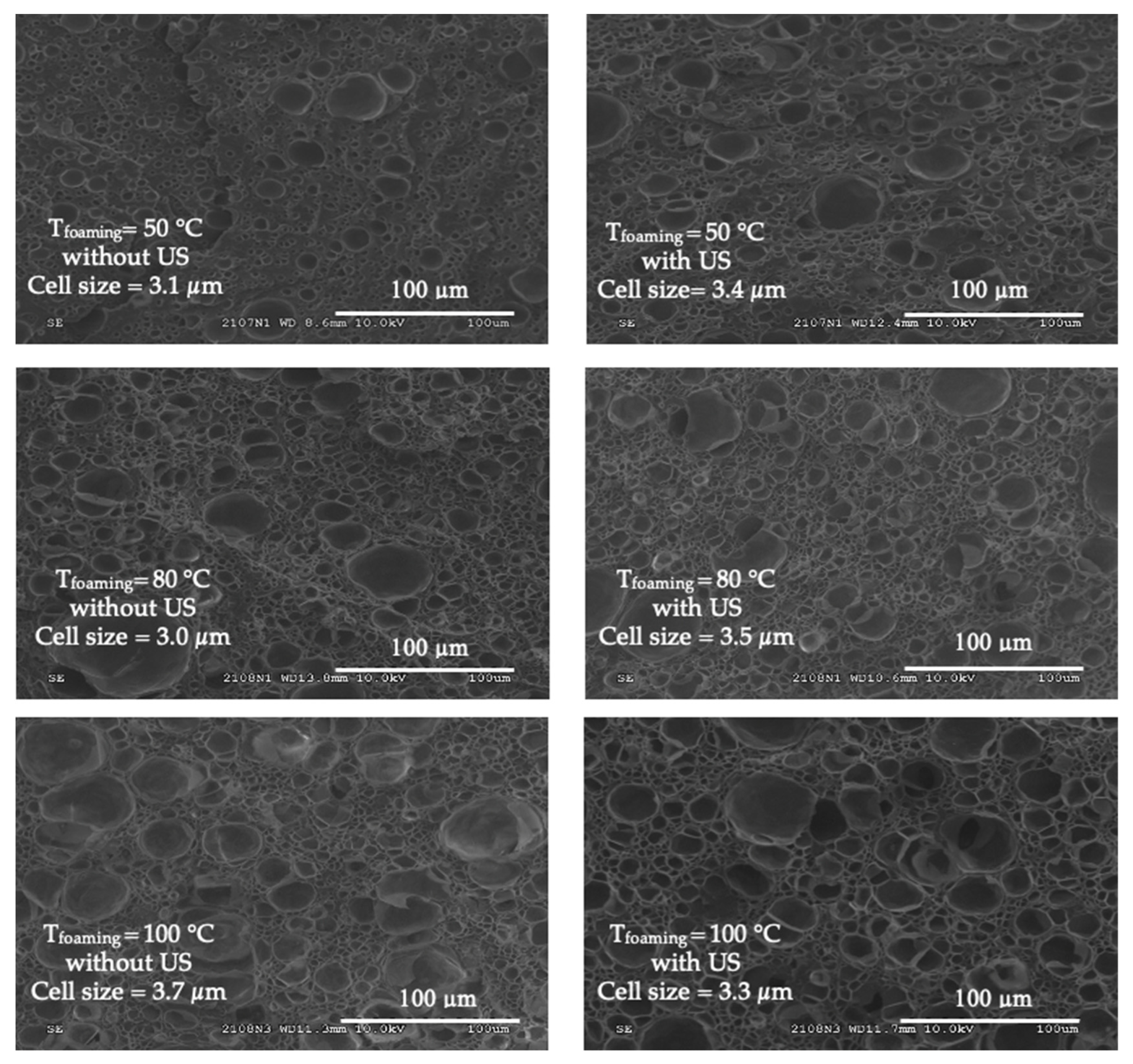 Polymers 15 01968 g010 Polymers 15 01968 g010