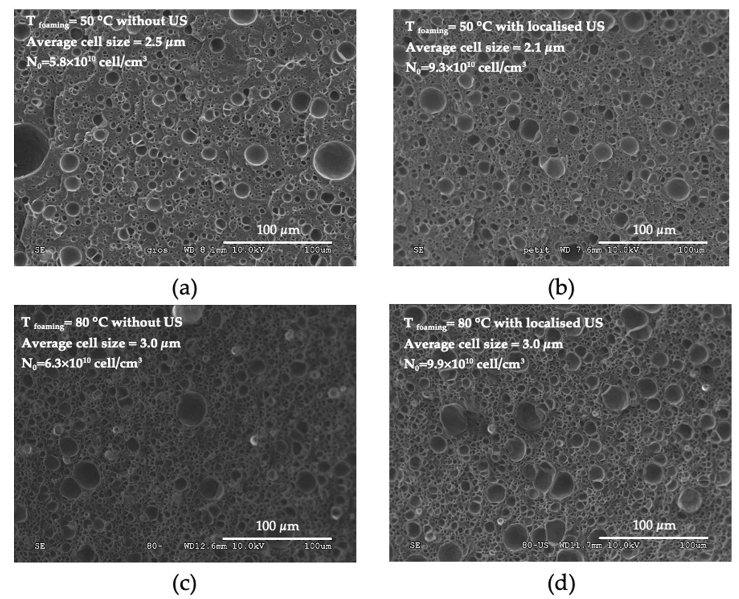 Polymers 15 01968 g014 Polymers 15 01968 g014