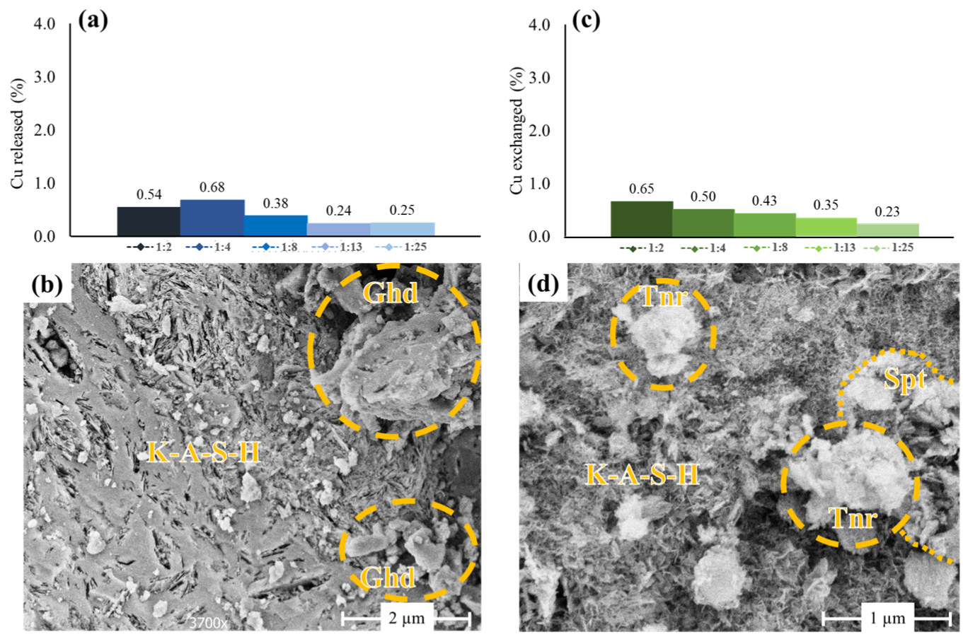 Polymers 15 01971 g005