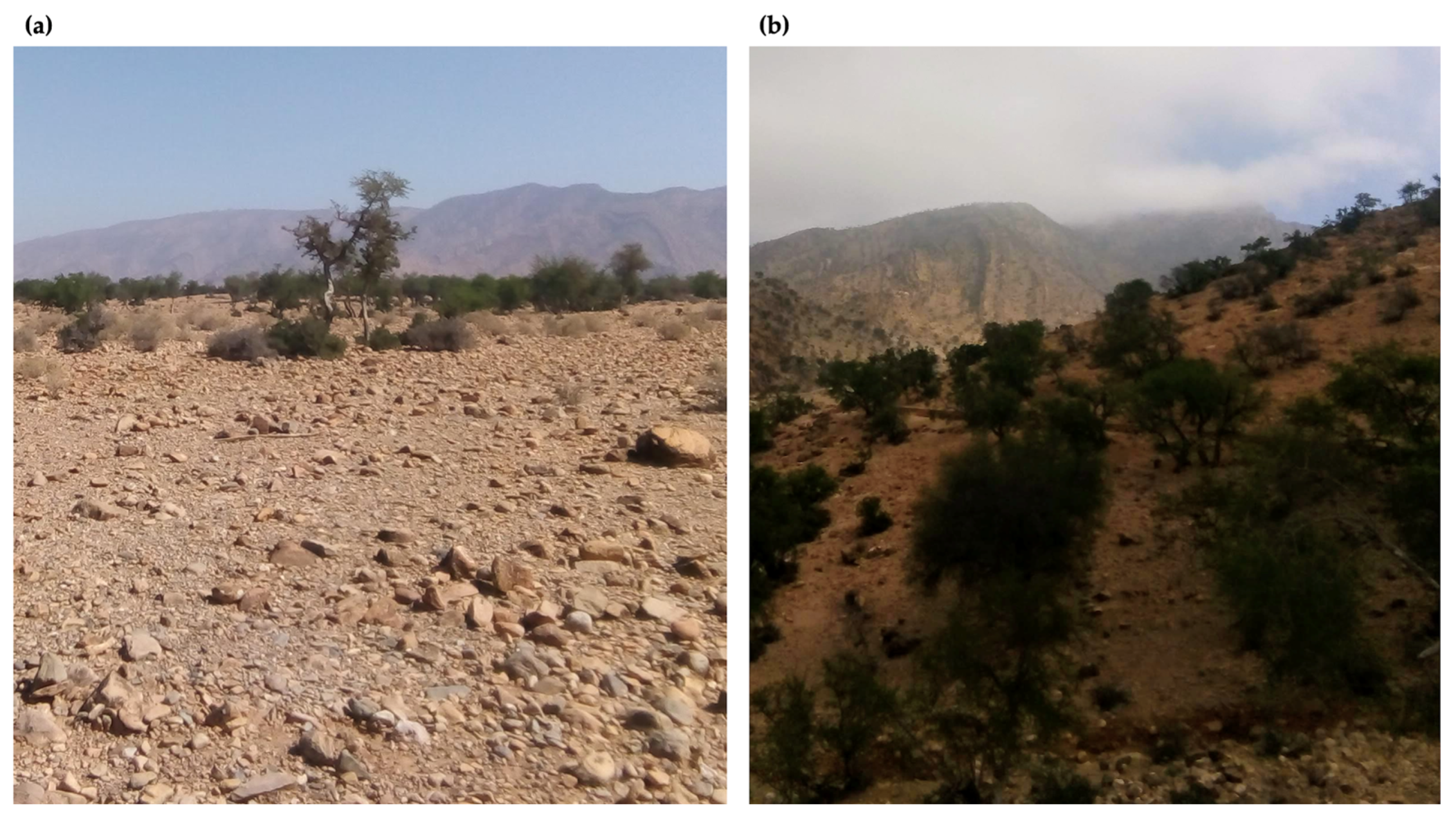 Polymers 15 01972 g001