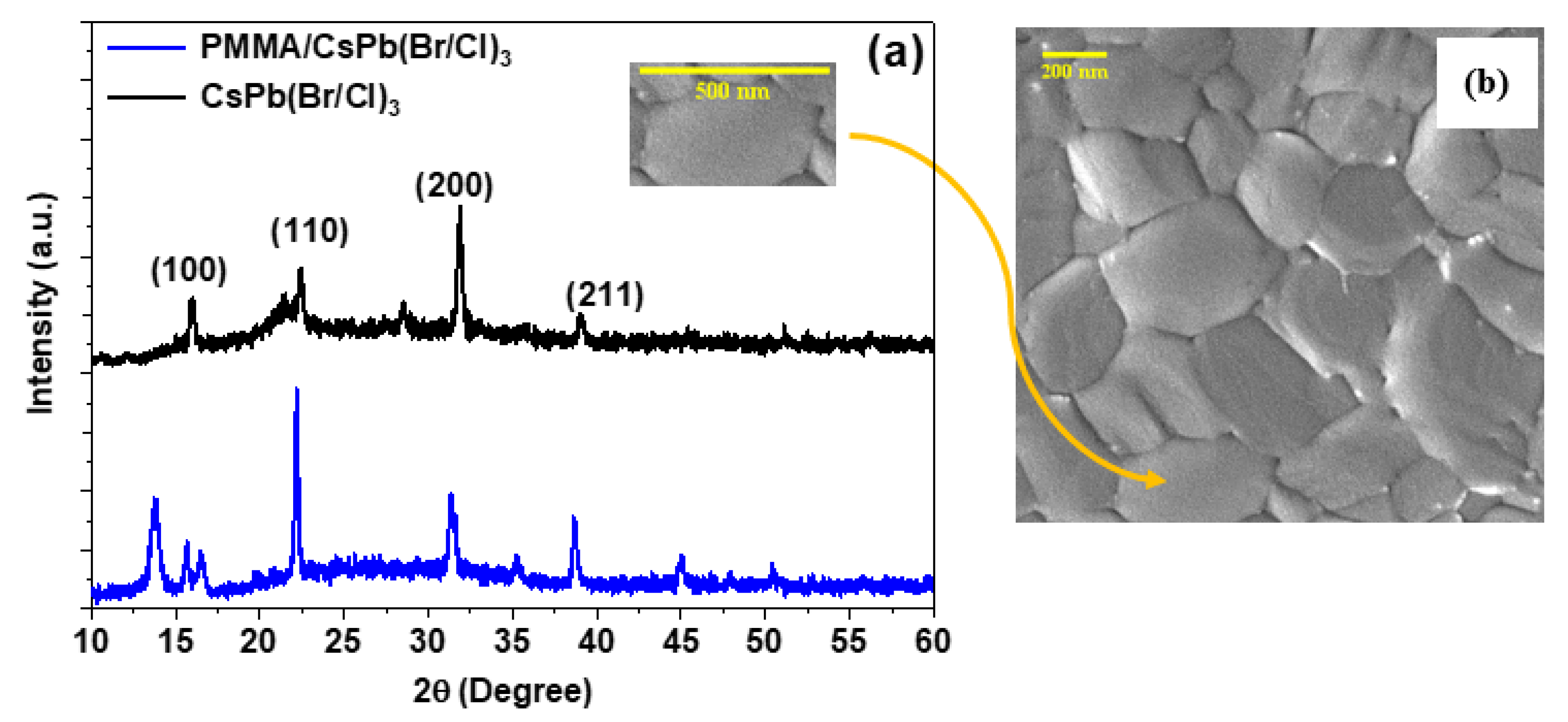 Polymers 15 01978 g001