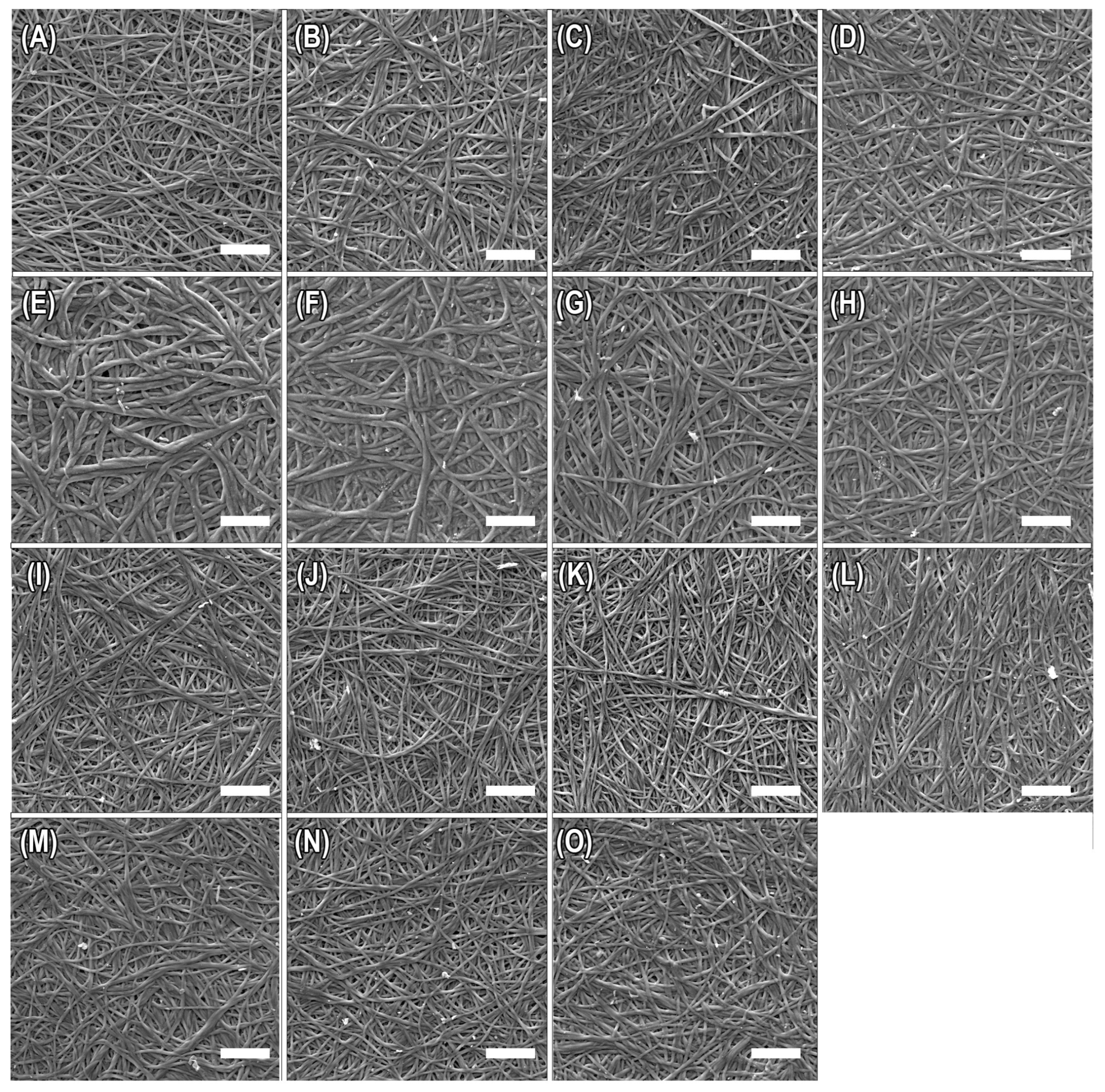 Polymers 15 01981 g001