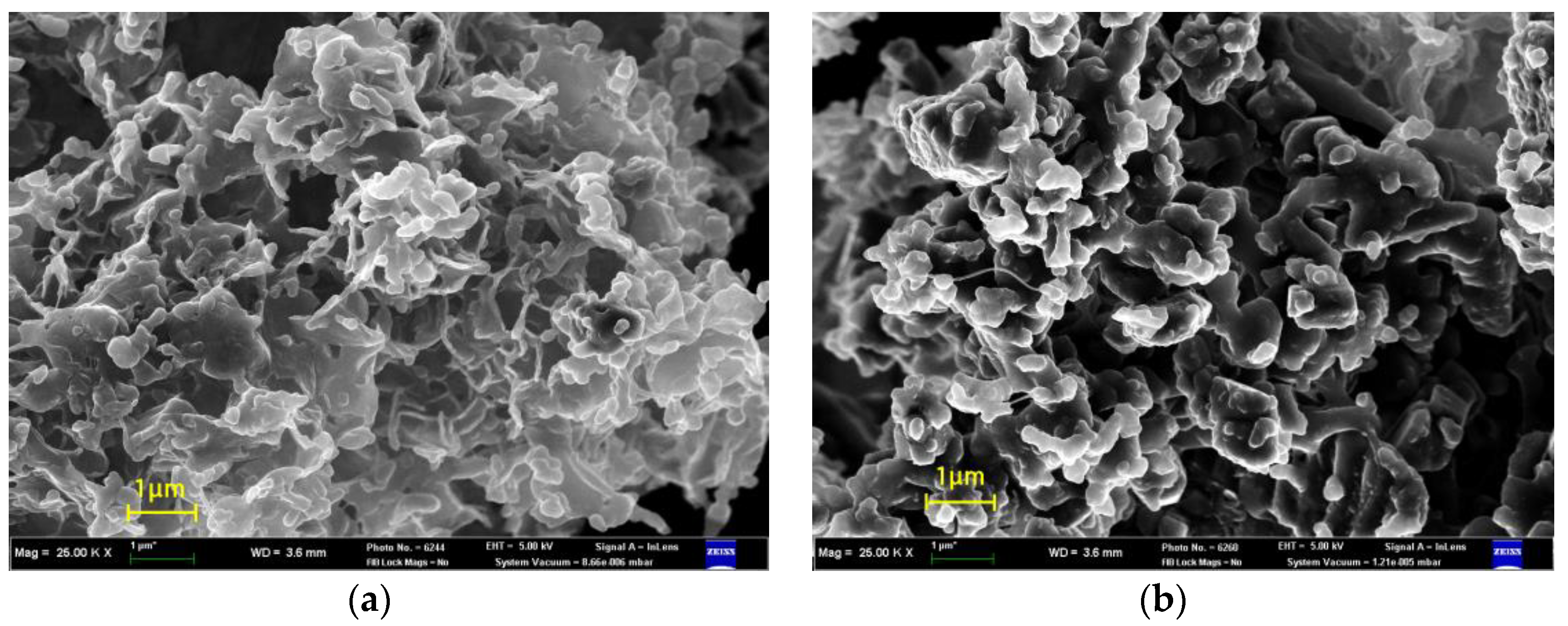 Polymers 15 01986 g004a Polymers 15 01986 g004a