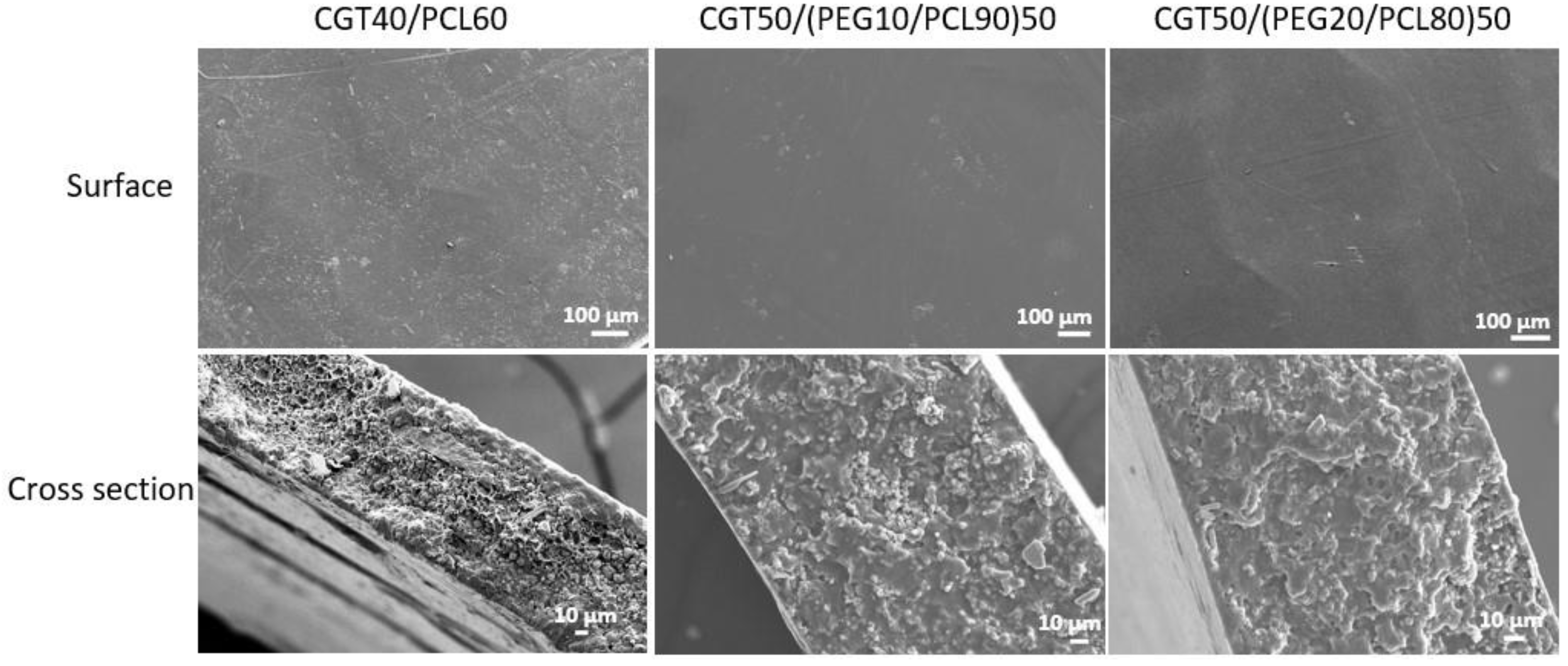 Polymers 15 01992 g003 Polymers 15 01992 g003