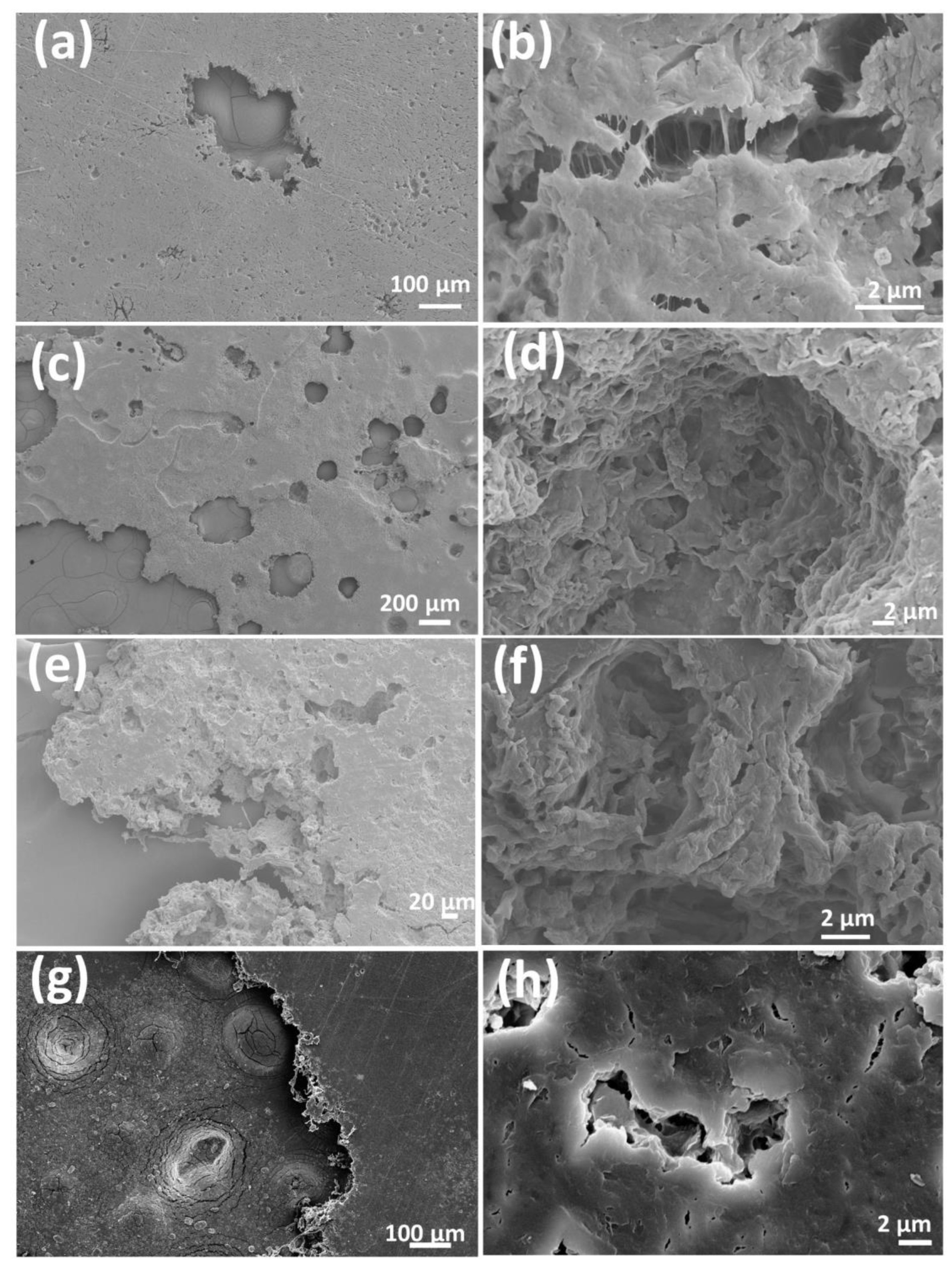 Polymers 15 01992 g009 Polymers 15 01992 g009