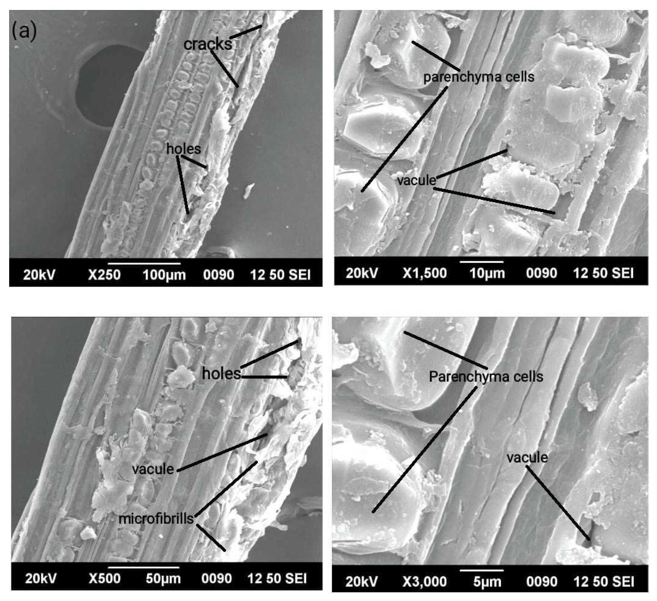 Polymers 15 01996 g004a