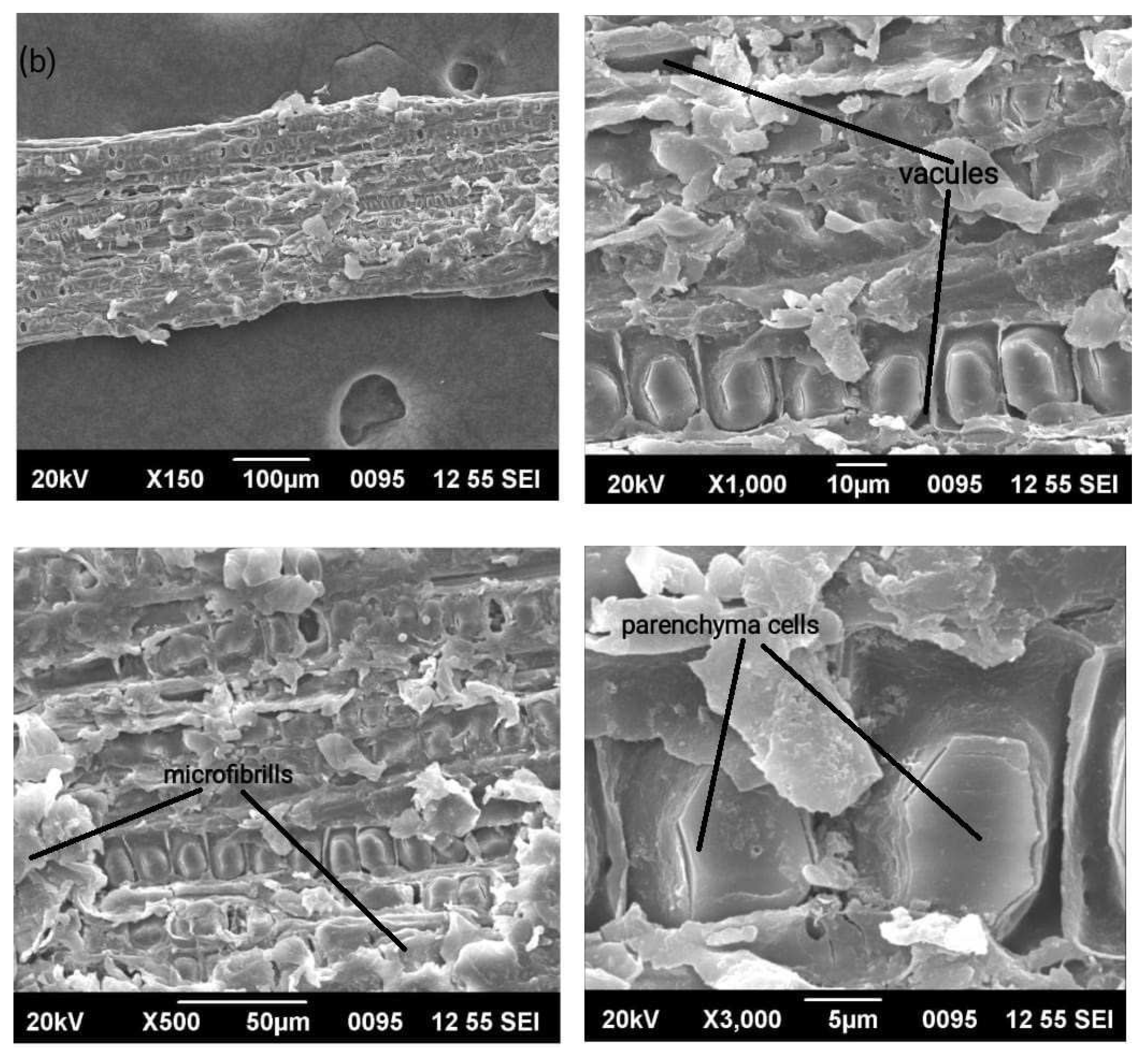 Polymers 15 01996 g004b