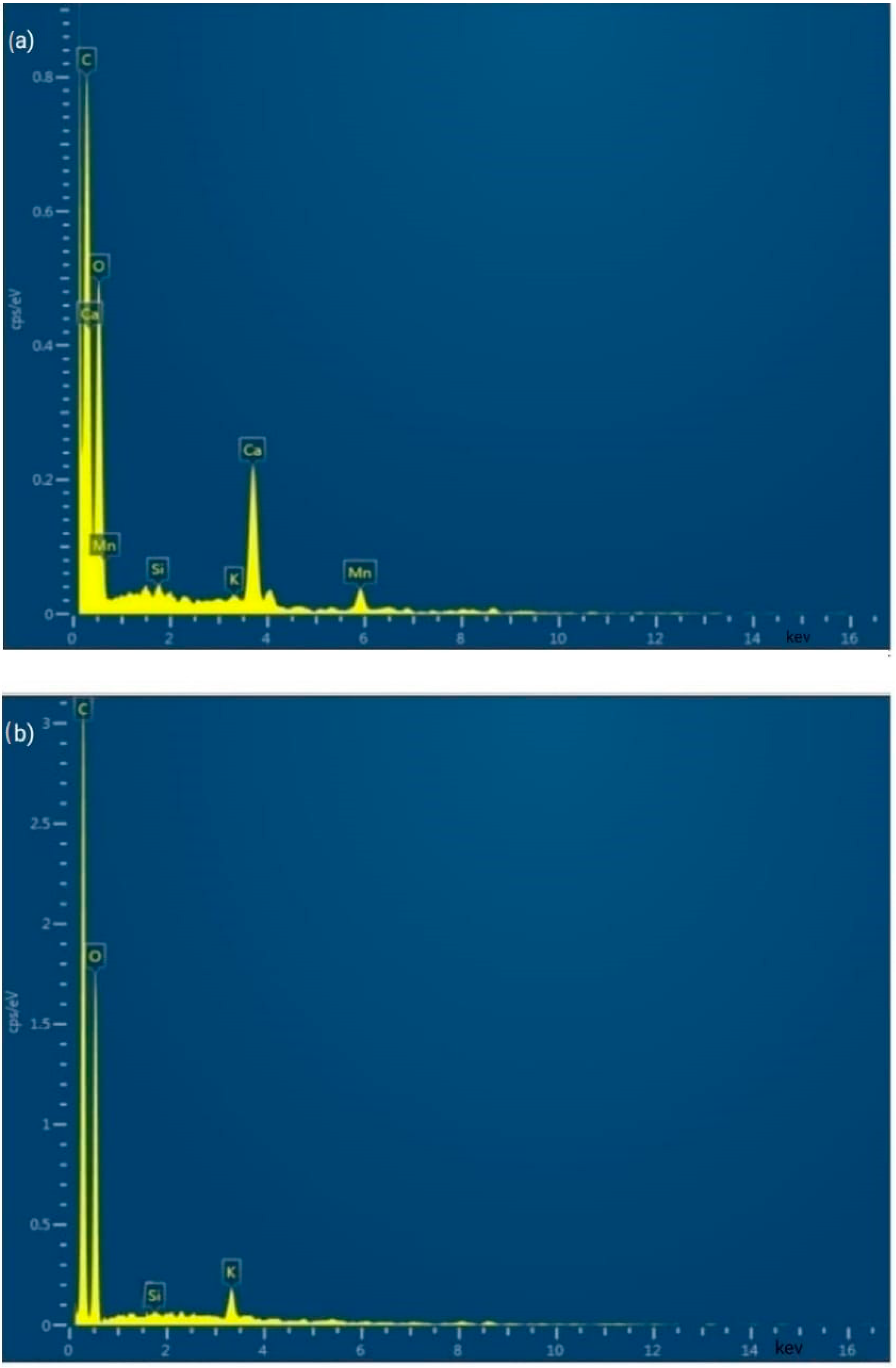 Polymers 15 01996 g005