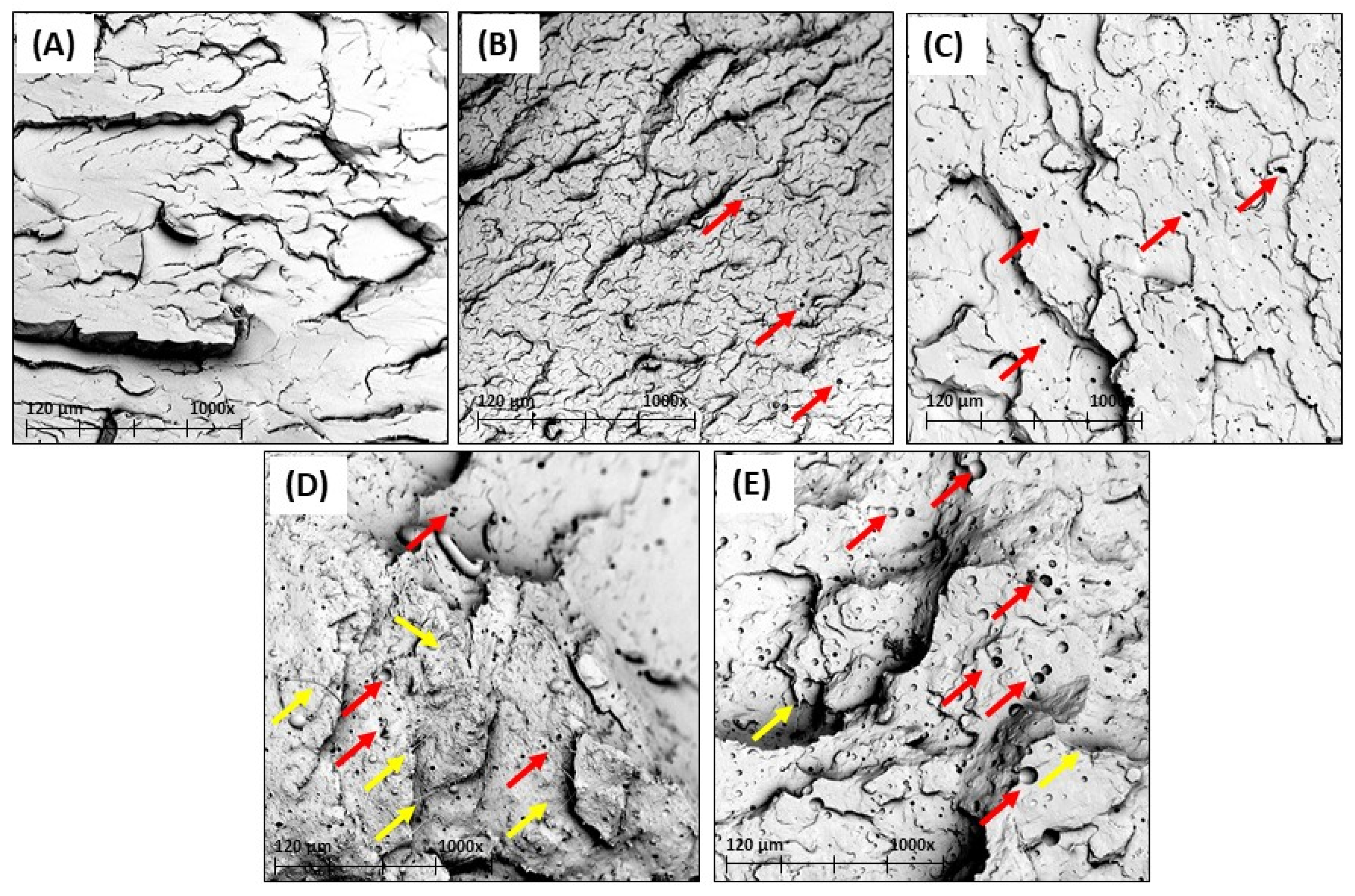 Polymers 15 01997 g009